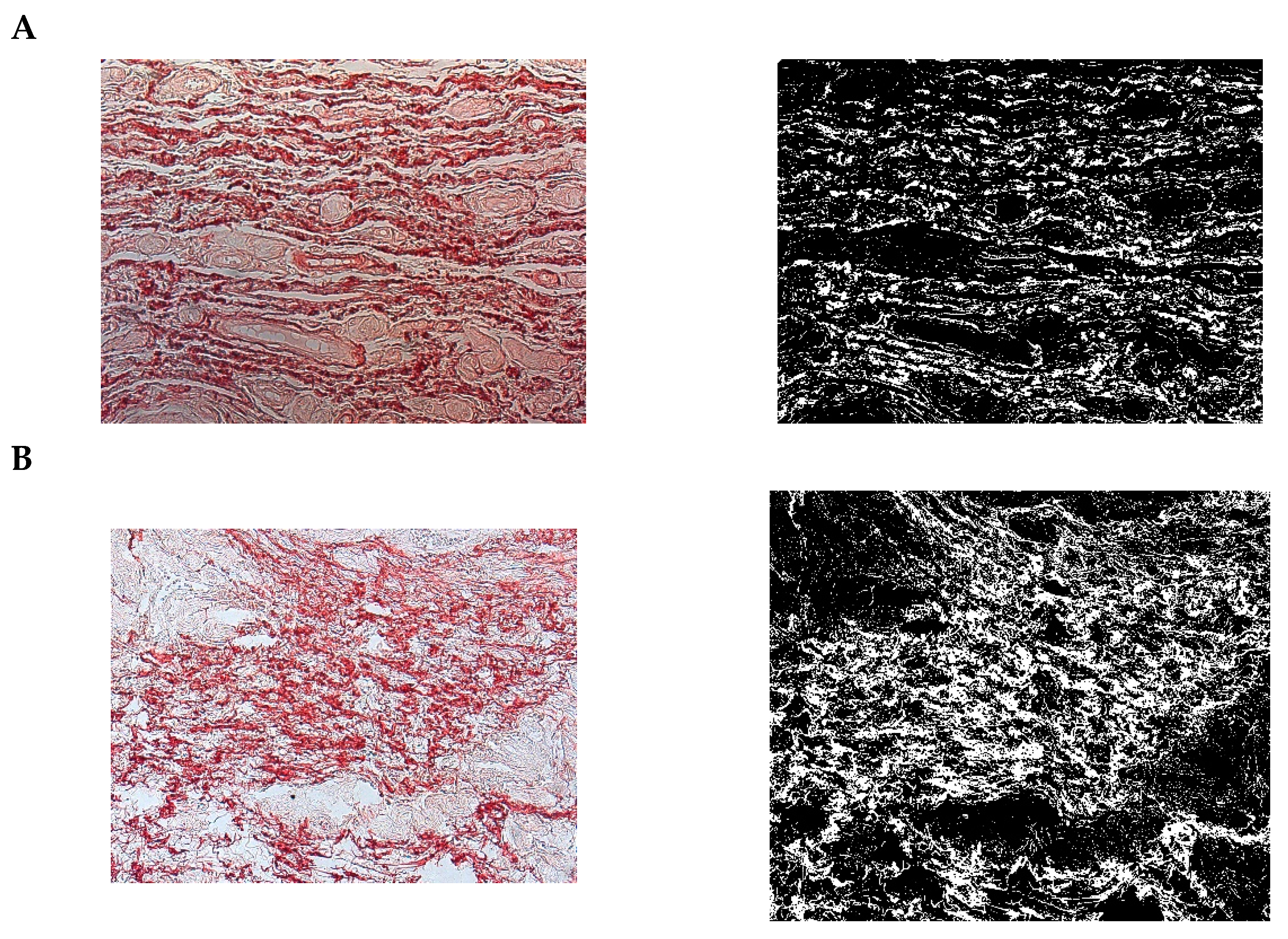 Pharmaceuticals 15 01571 g021