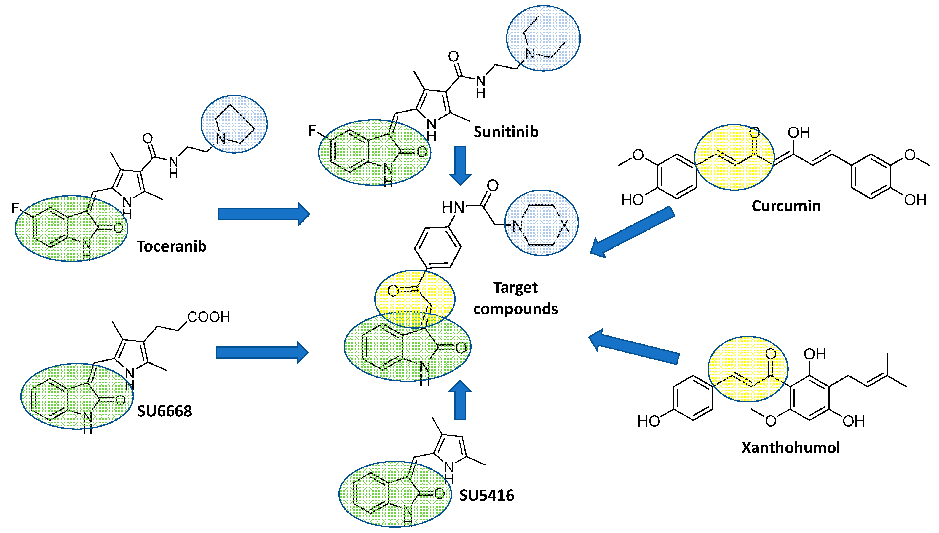 Pharmaceuticals 15 01579 g001