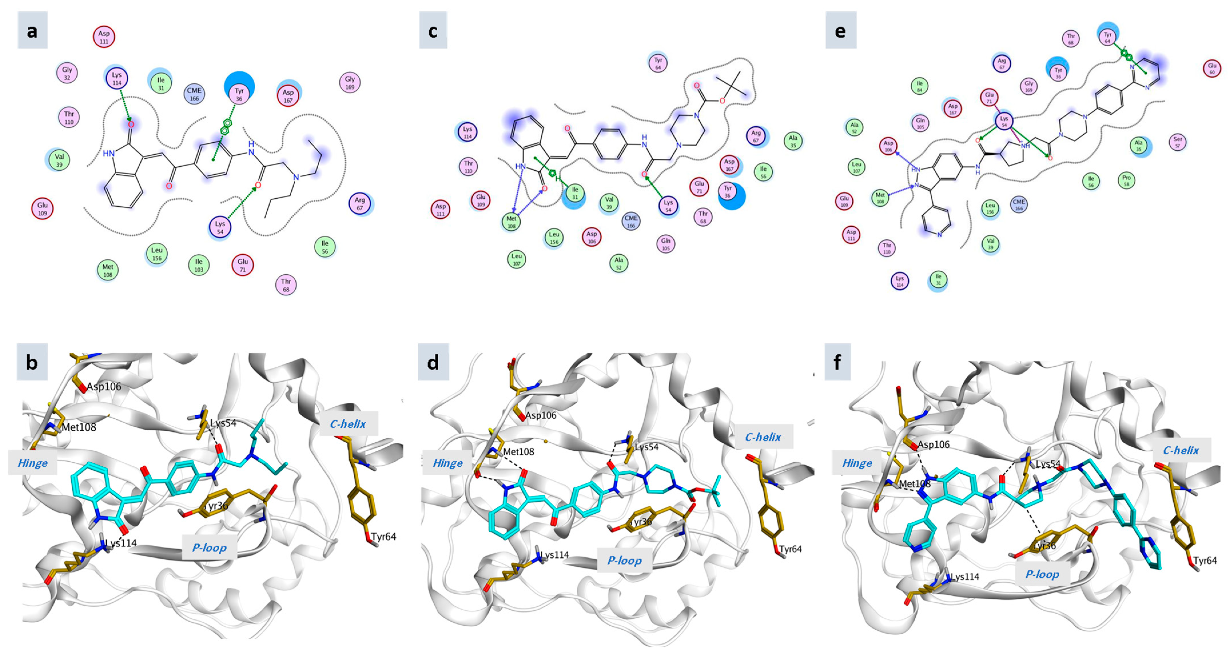 Pharmaceuticals 15 01579 g006