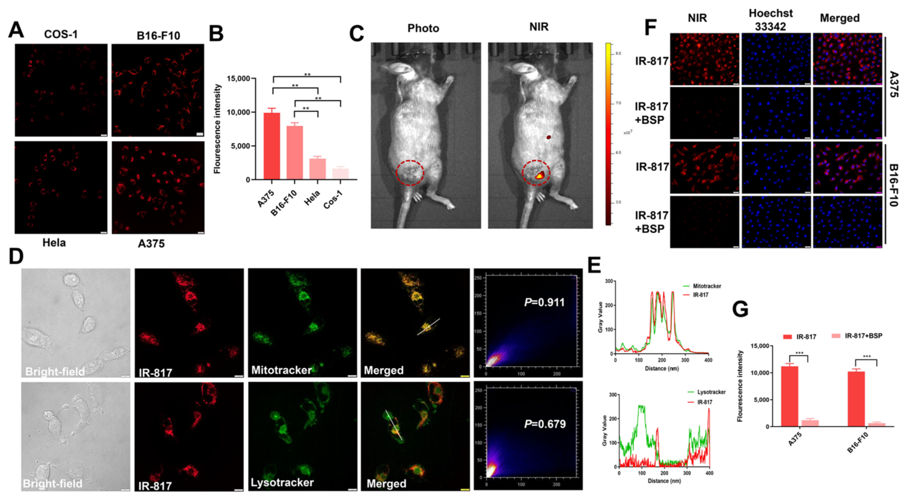 Pharmaceuticals 15 01589 g002