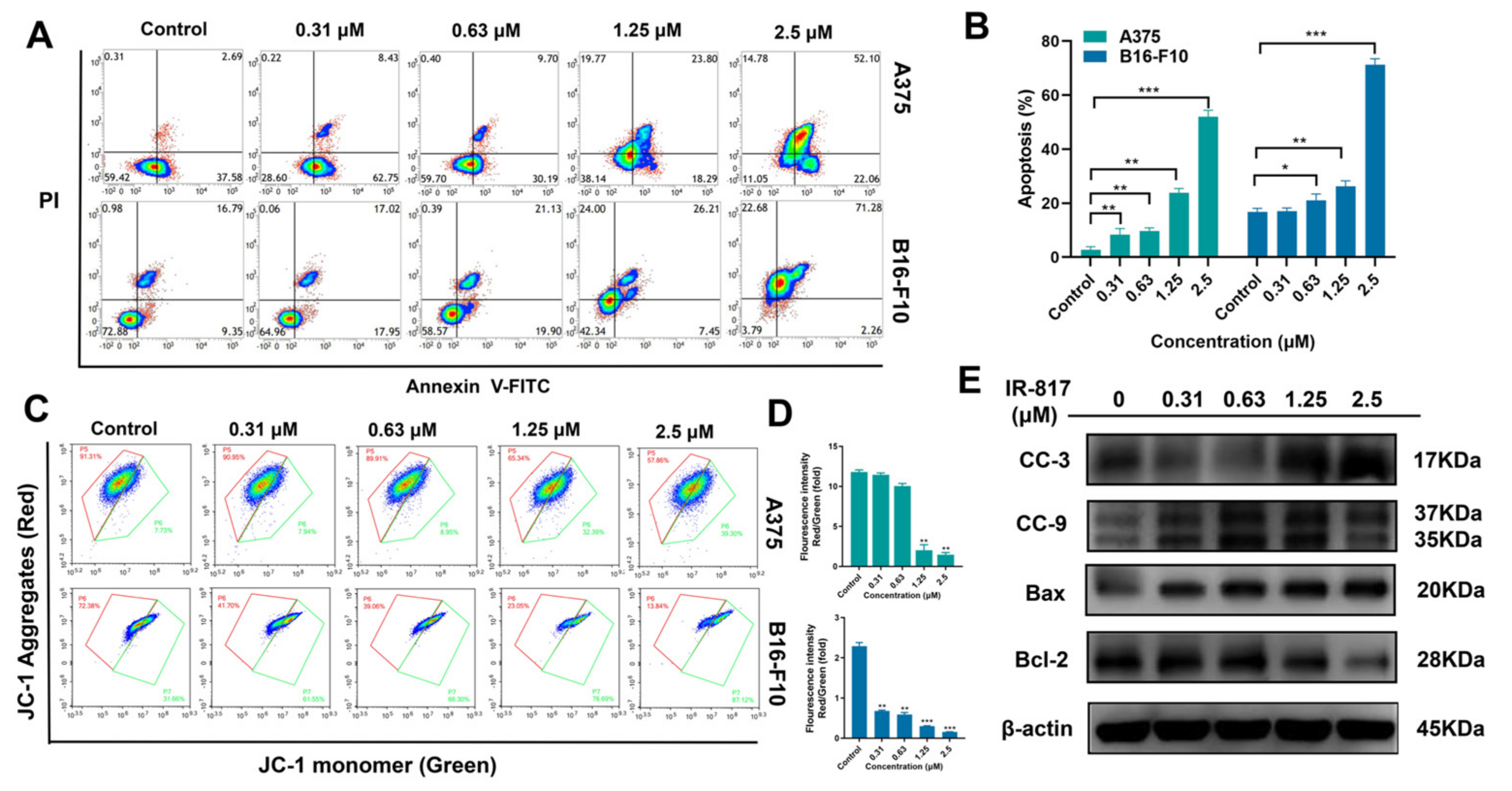 Pharmaceuticals 15 01589 g003