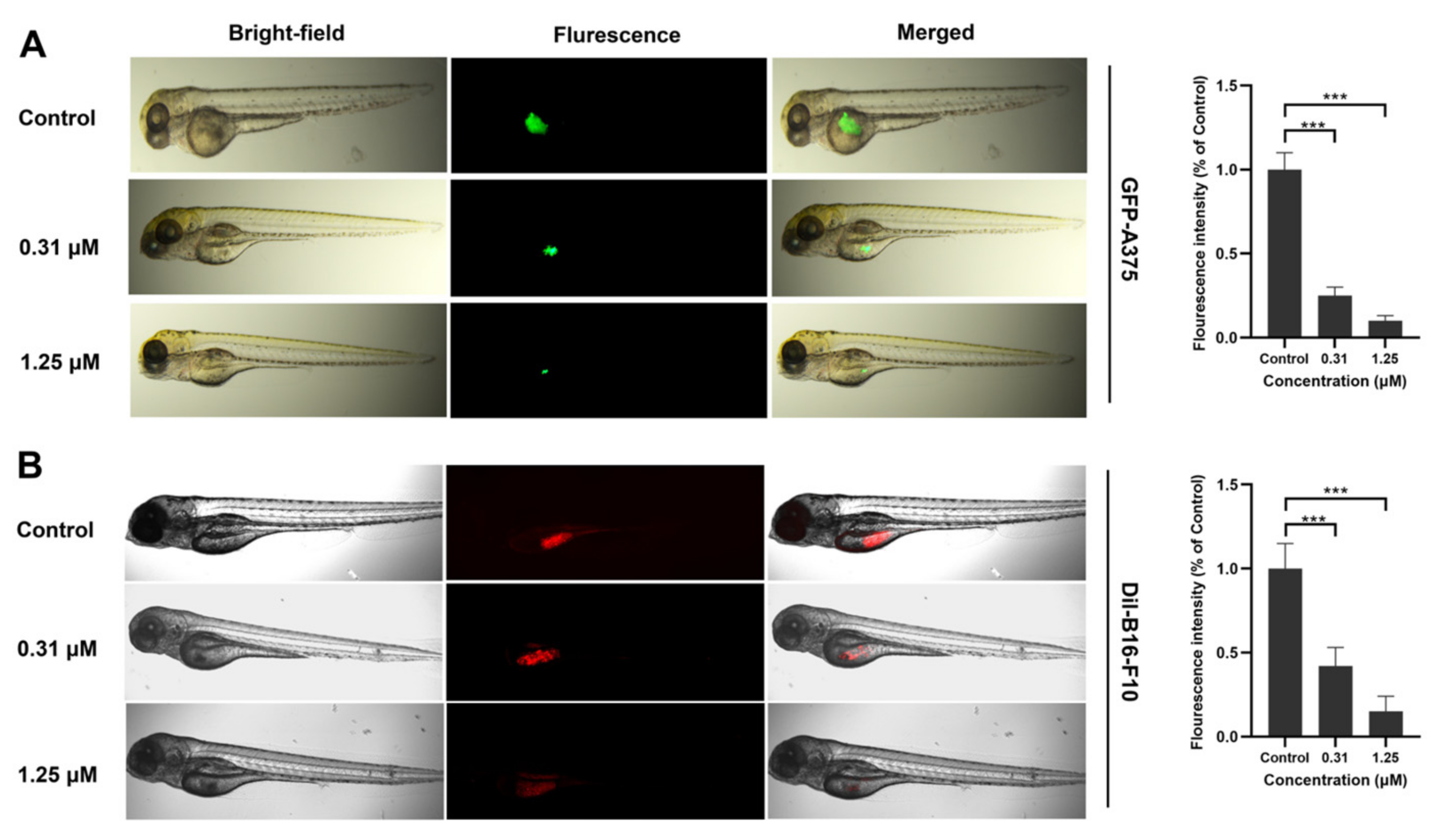 Pharmaceuticals 15 01589 g007