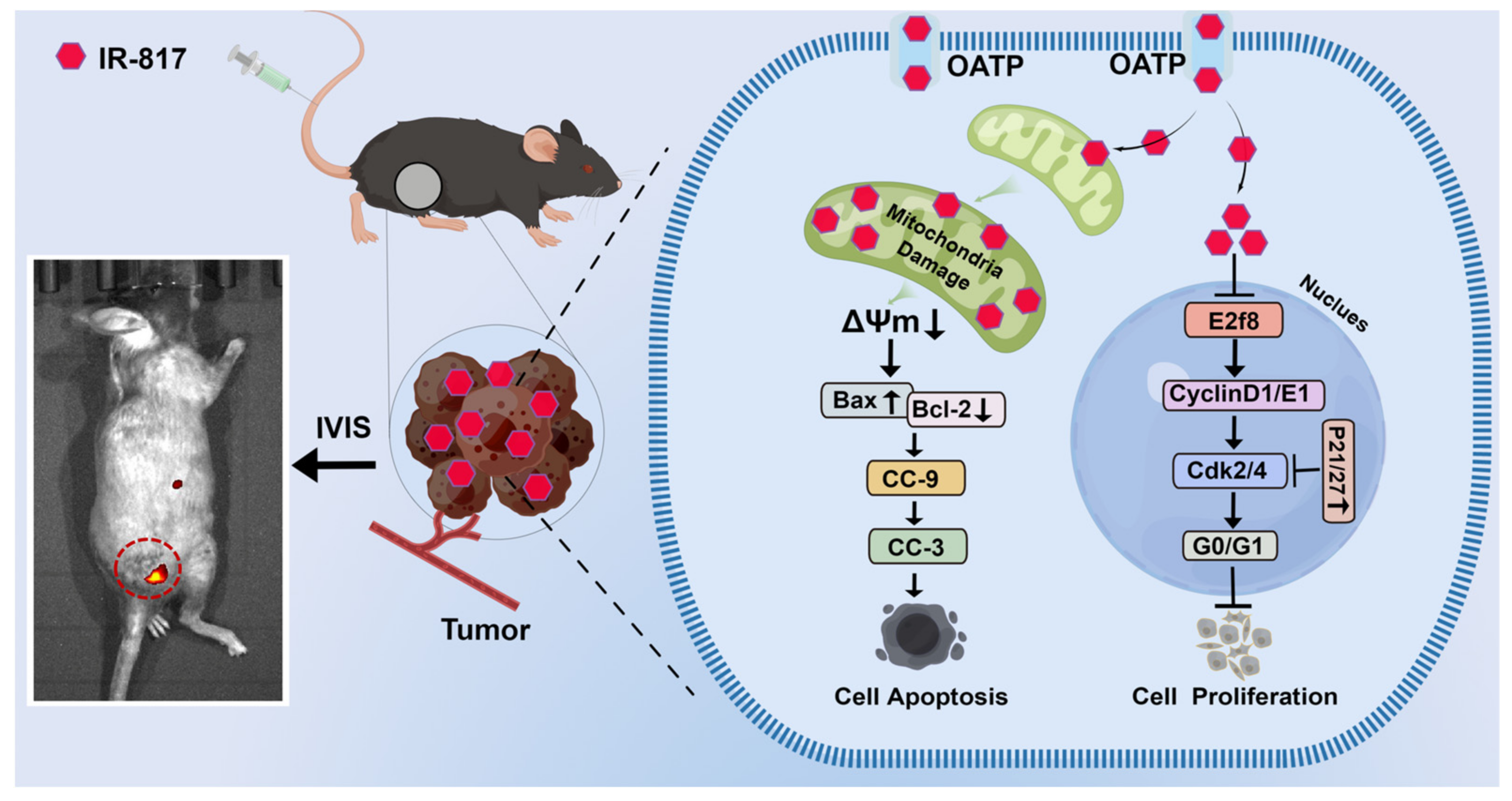 Pharmaceuticals 15 01589 sch001