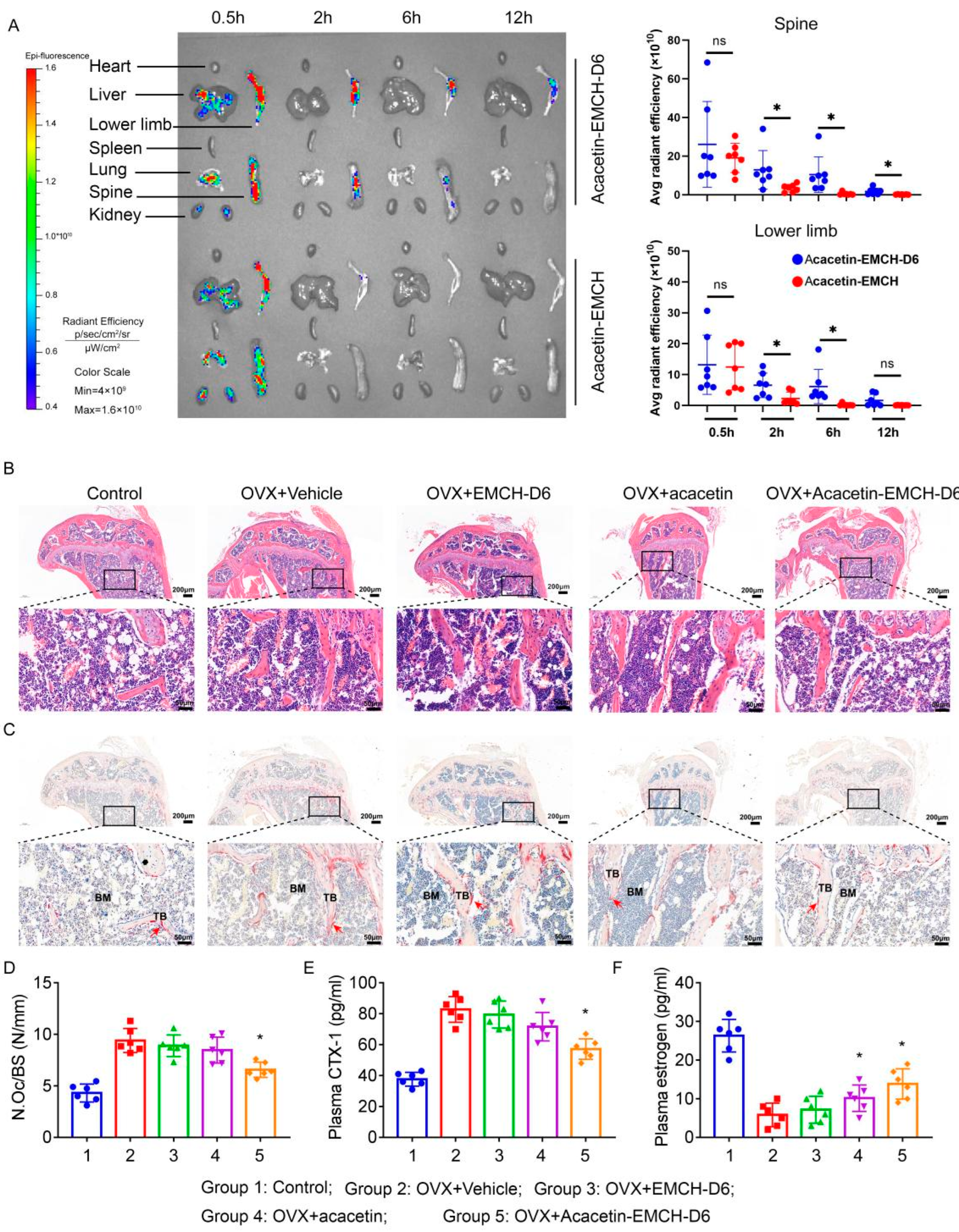 Pharmaceuticals 16 00002 g003