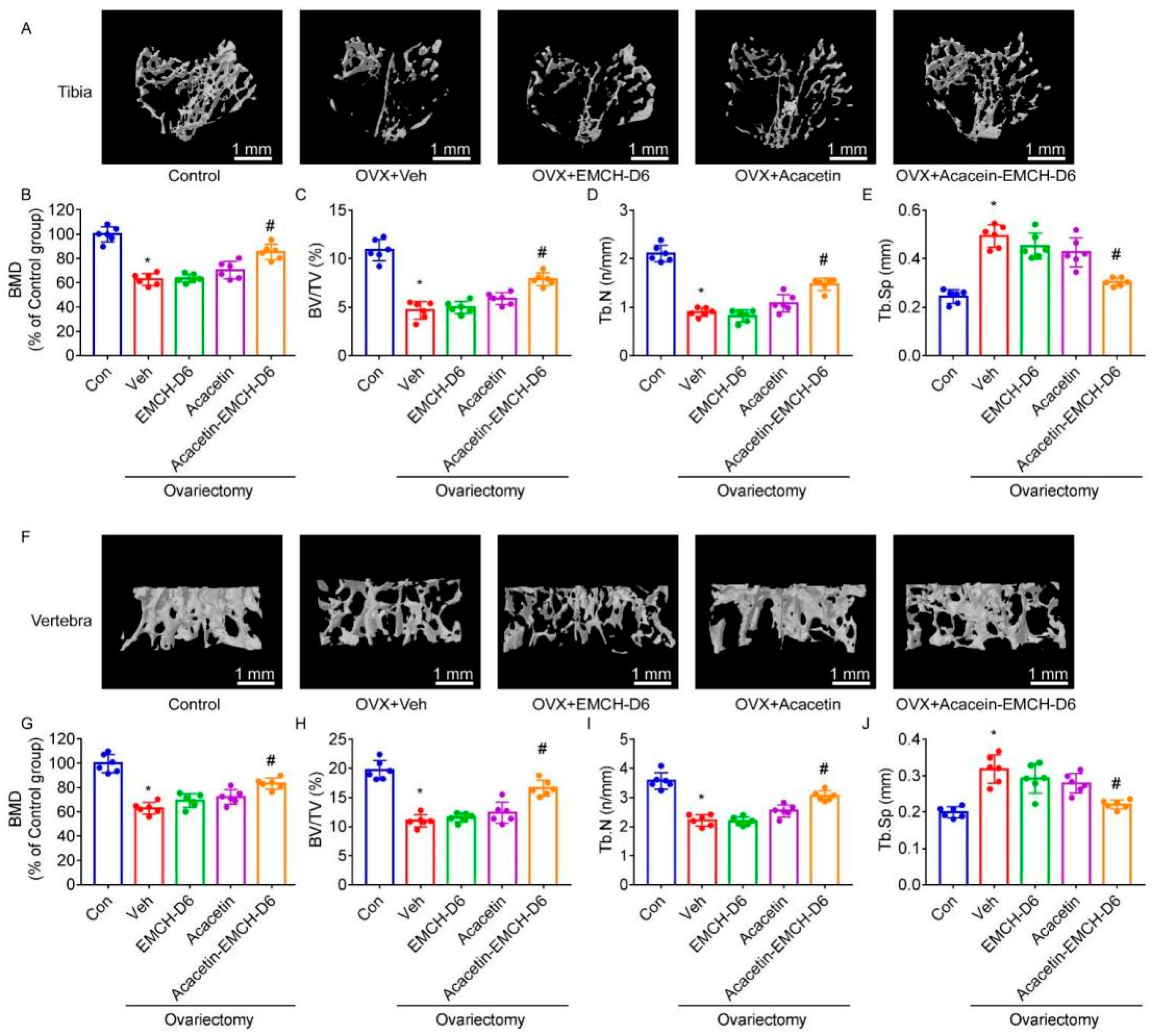 Pharmaceuticals 16 00002 g004