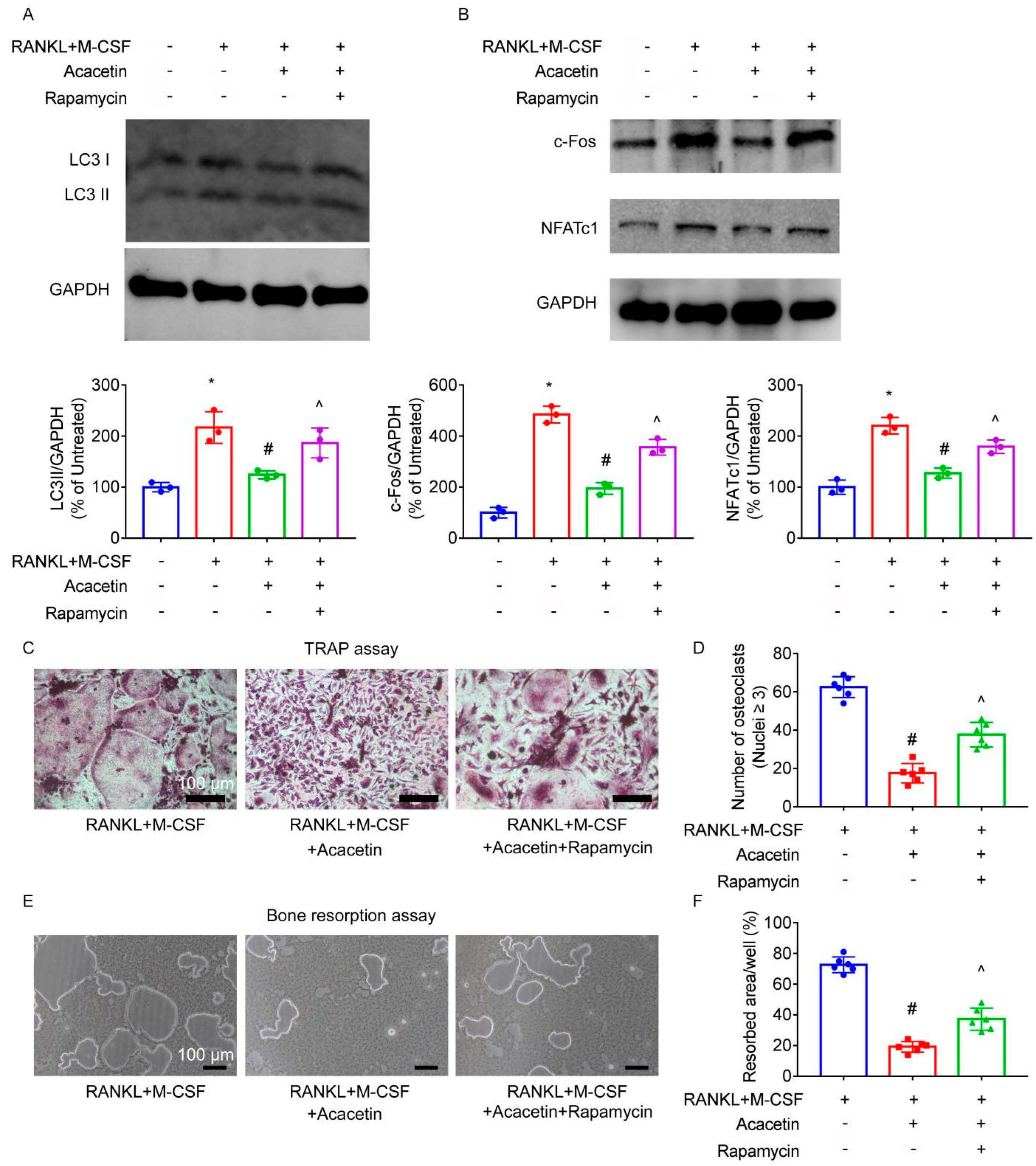 Pharmaceuticals 16 00002 g006