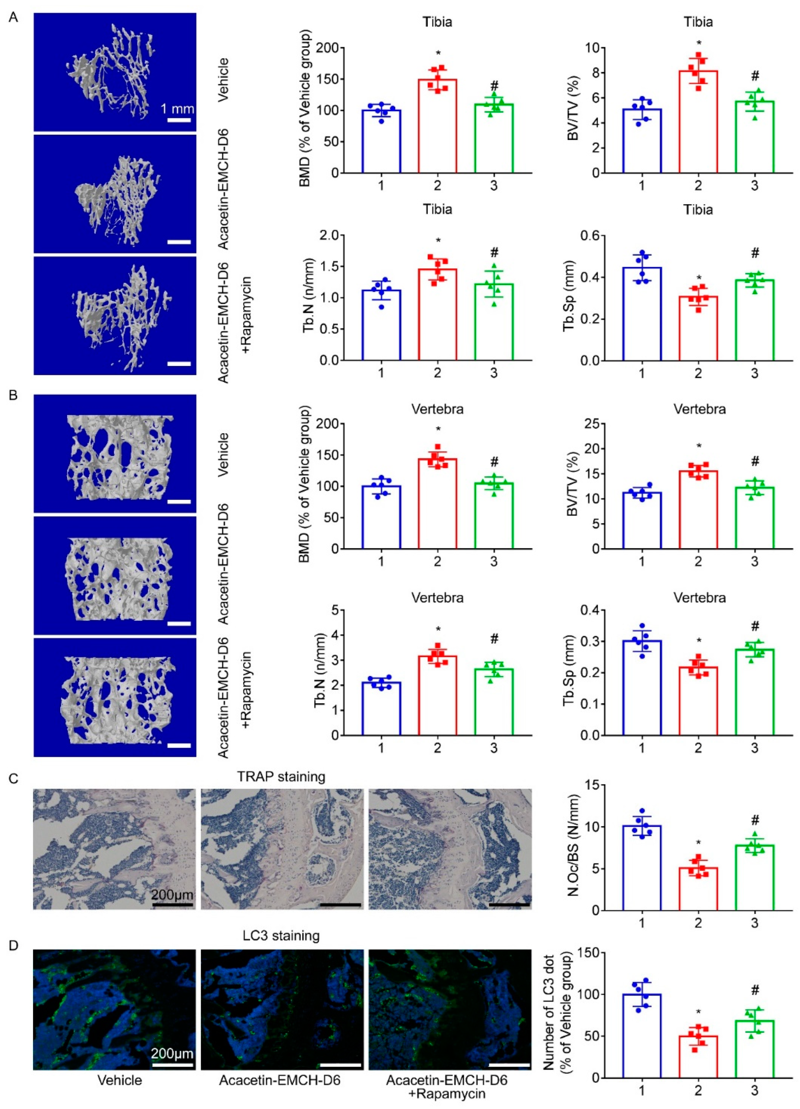 Pharmaceuticals 16 00002 g007