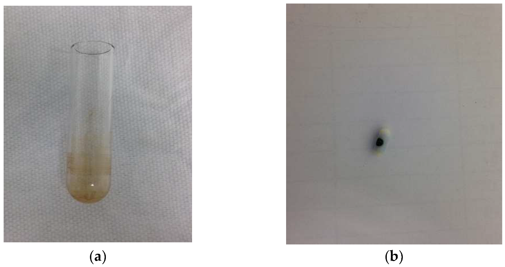 Pharmaceuticals 16 00010 g001 Pharmaceuticals 16 00010 g001