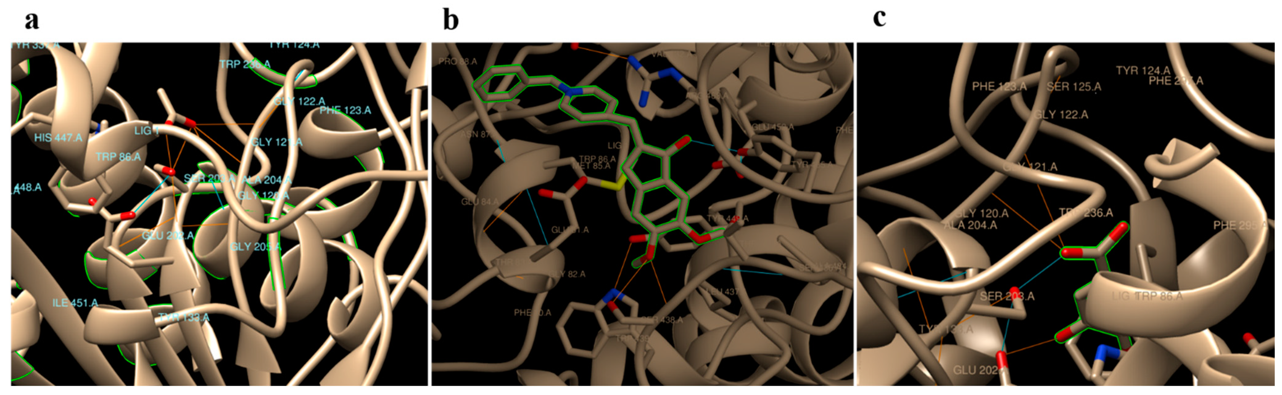 Pharmaceuticals 16 00012 g001
