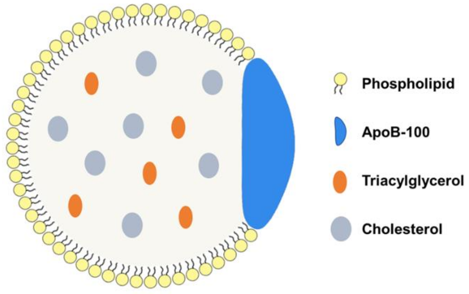 Pharmaceuticals 16 00018 g001 Pharmaceuticals 16 00018 g001