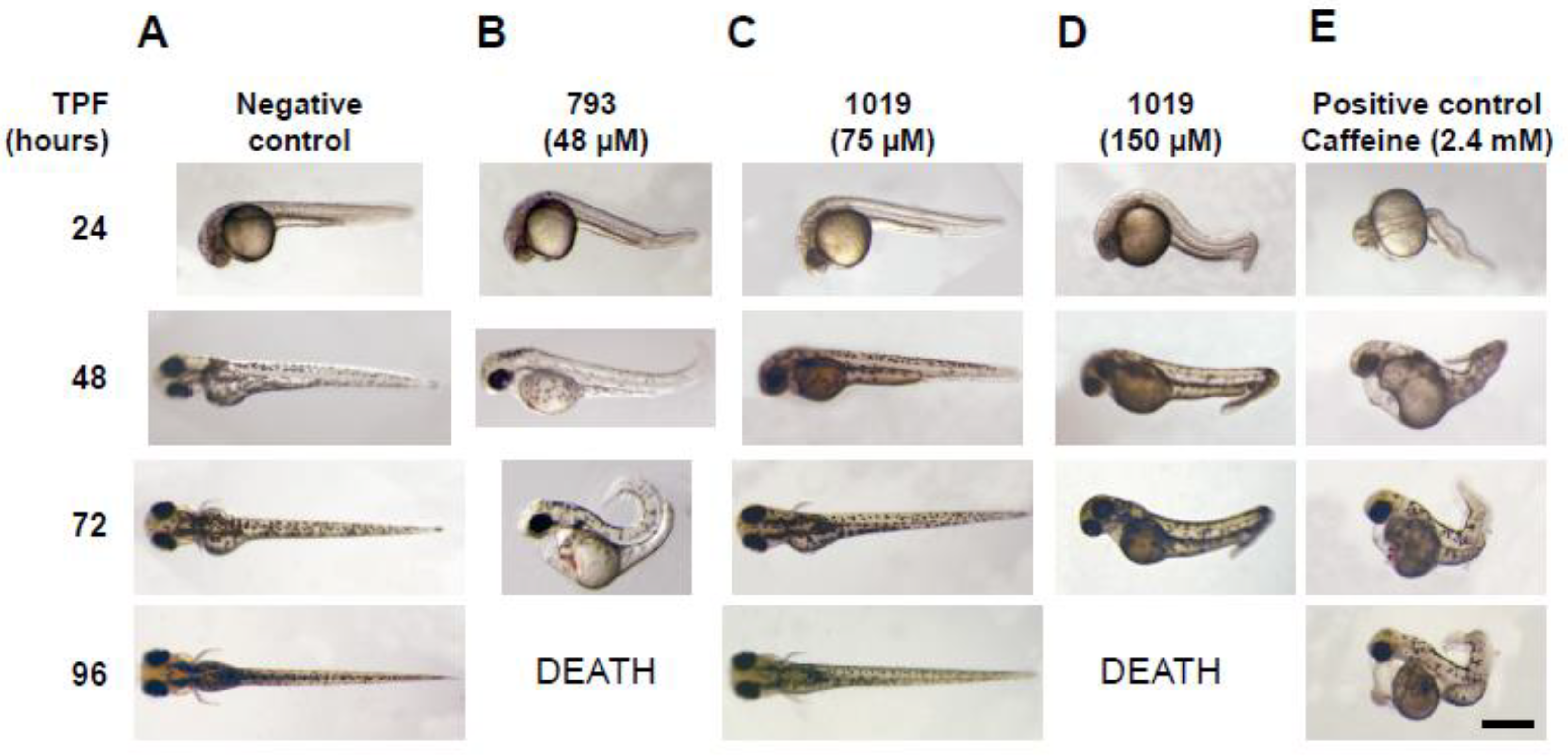 Pharmaceuticals 16 00020 g001