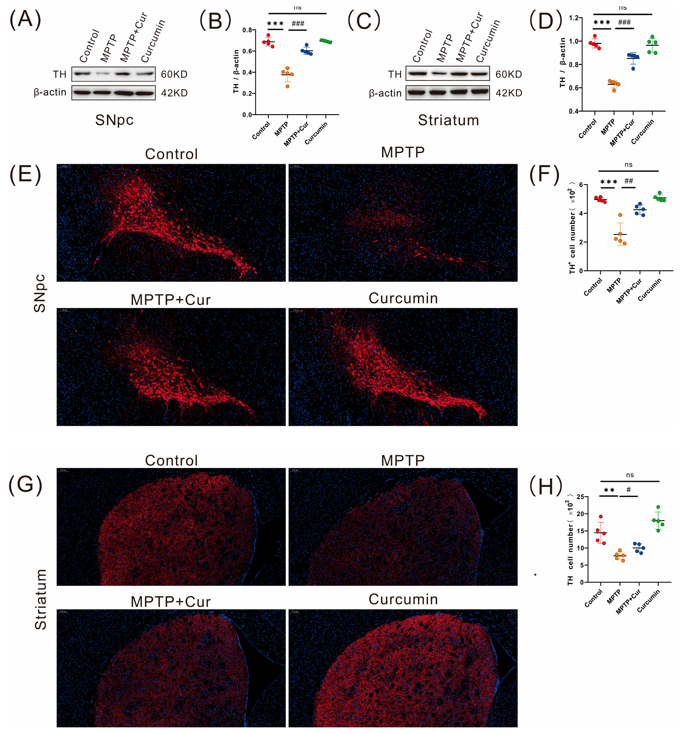 Pharmaceuticals 16 00039 g002