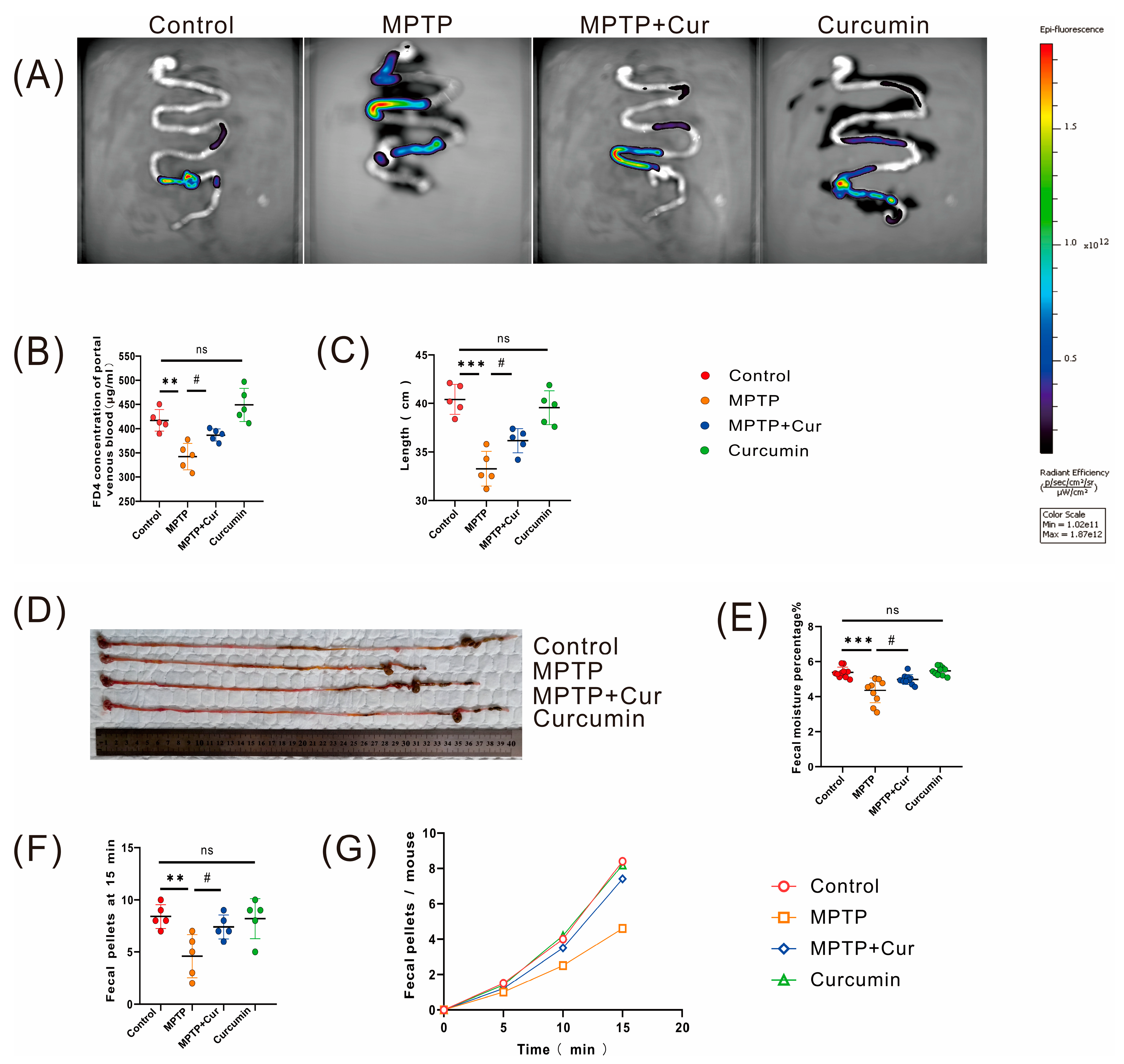 Pharmaceuticals 16 00039 g003