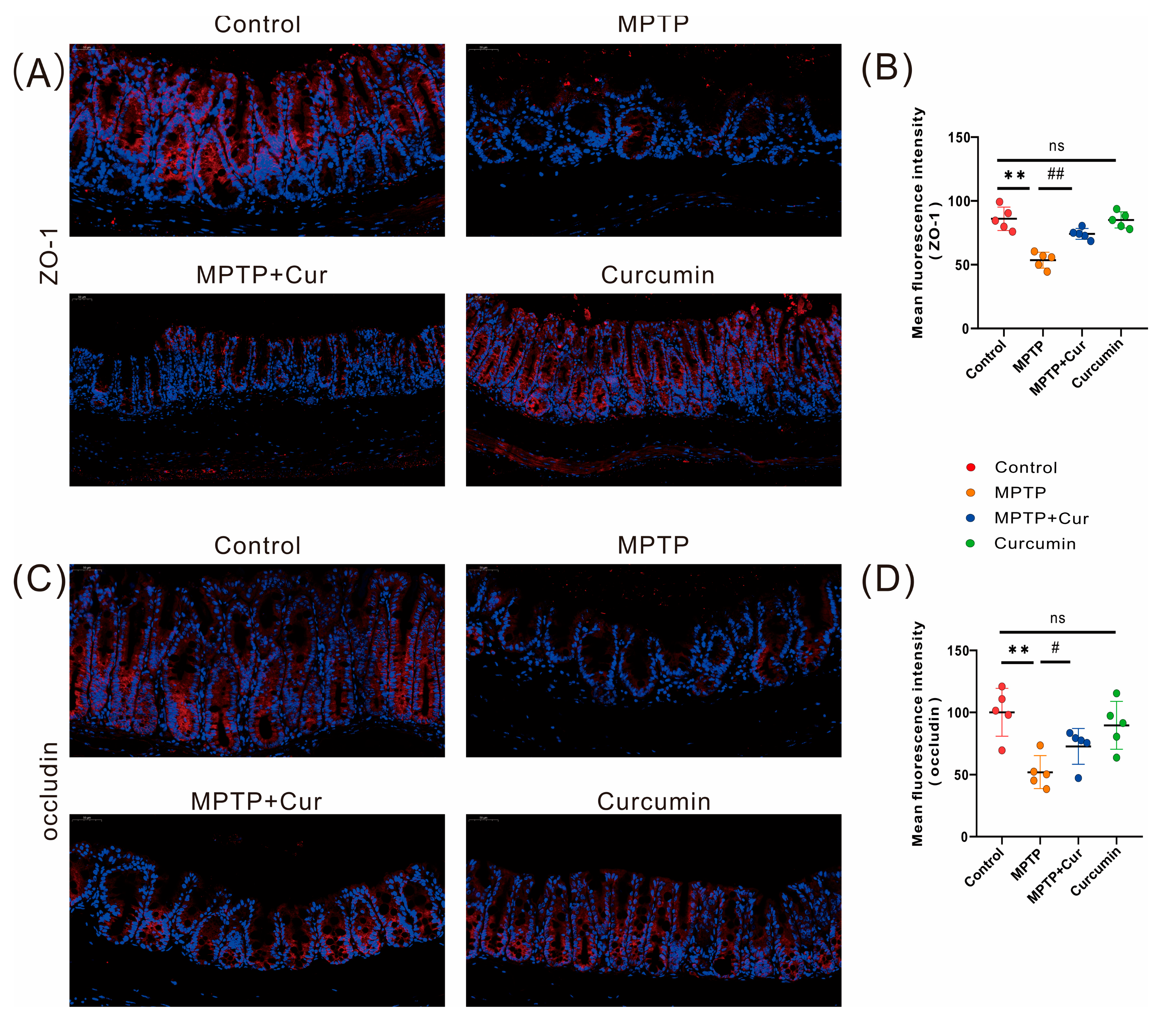 Pharmaceuticals 16 00039 g004