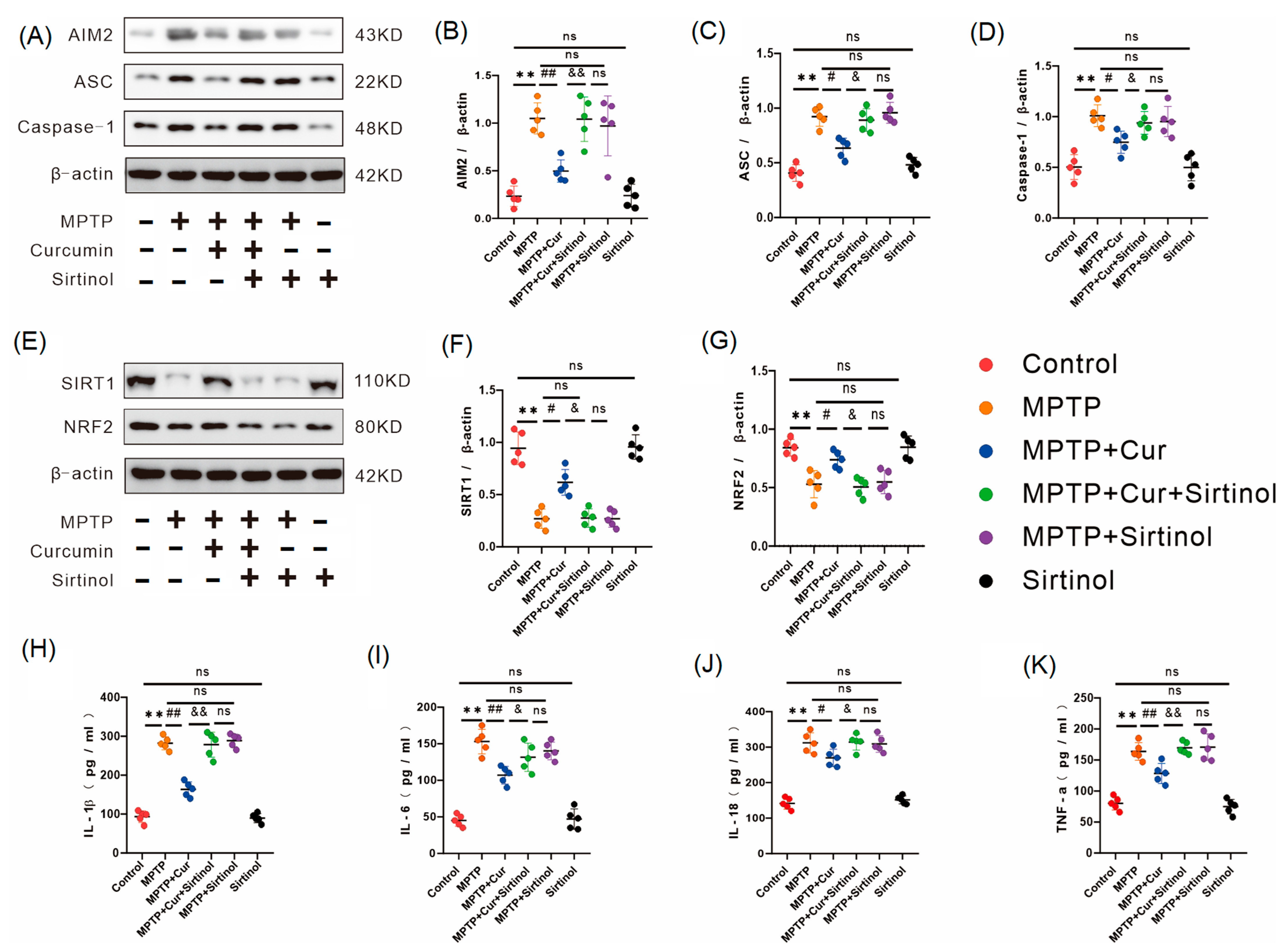 Pharmaceuticals 16 00039 g006