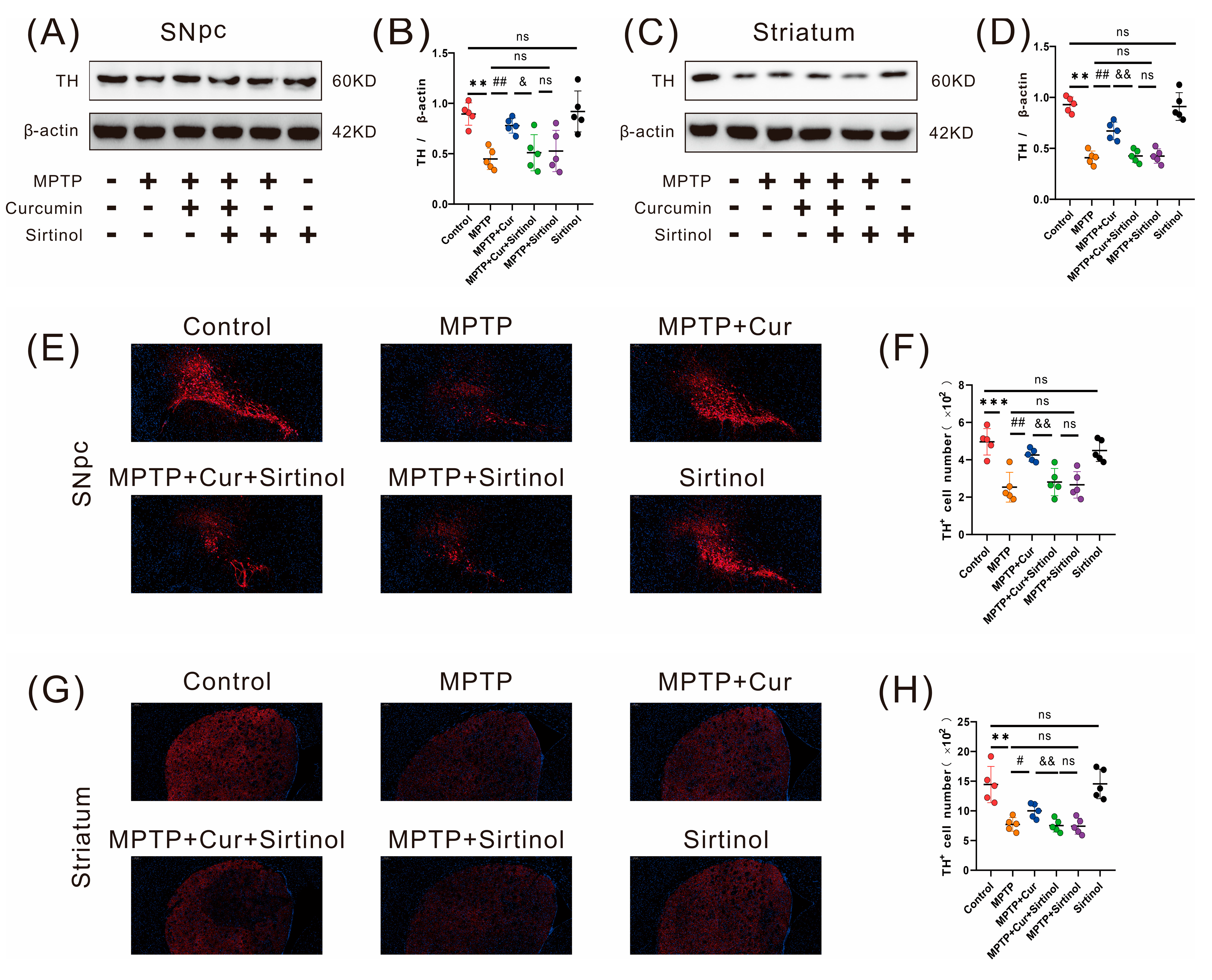 Pharmaceuticals 16 00039 g010