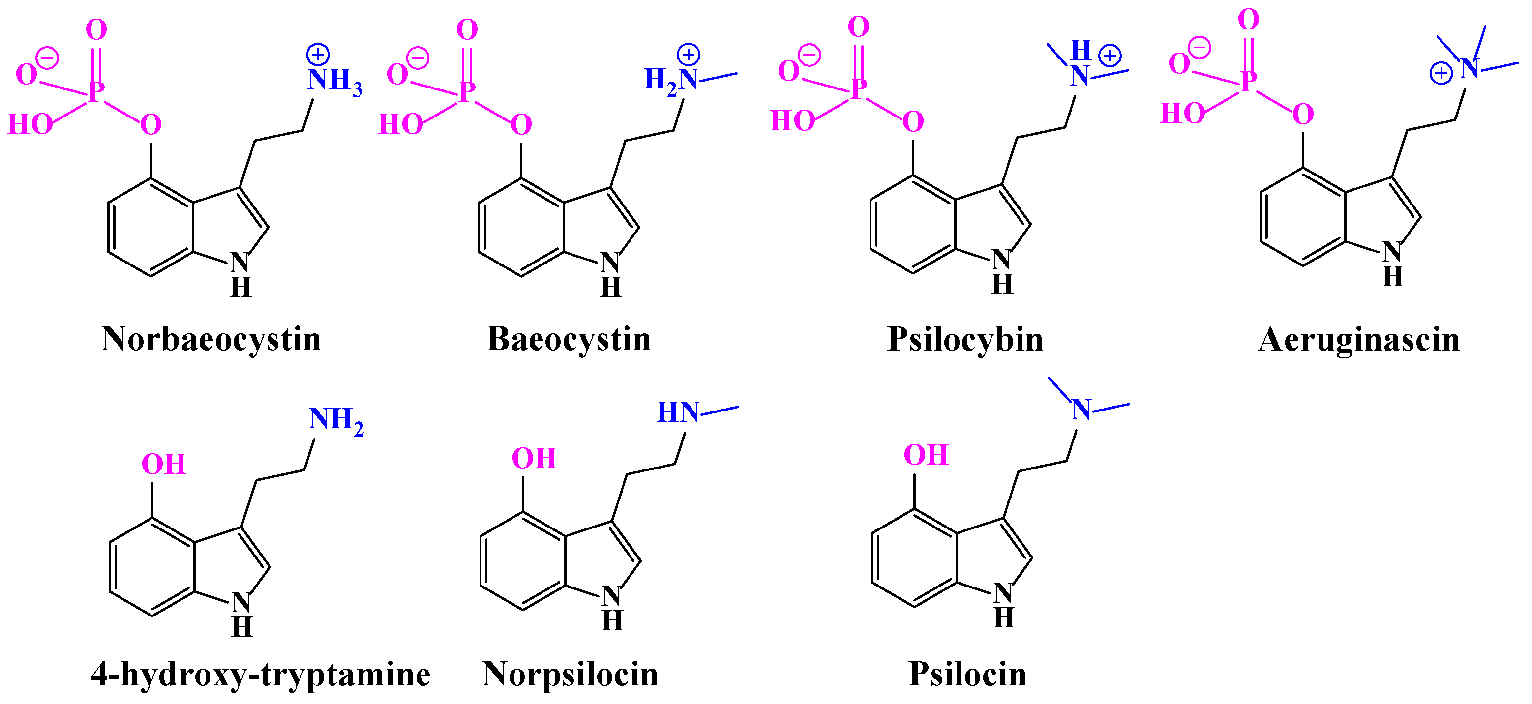 Pharmaceuticals 16 00040 g001