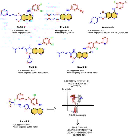 Pharmaceuticals 16 00043 g001