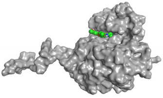 Pharmaceuticals 16 00043 i014
