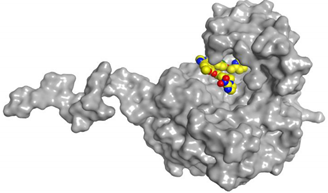 Pharmaceuticals 16 00043 i016