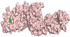 Pharmaceuticals 16 00043 i020