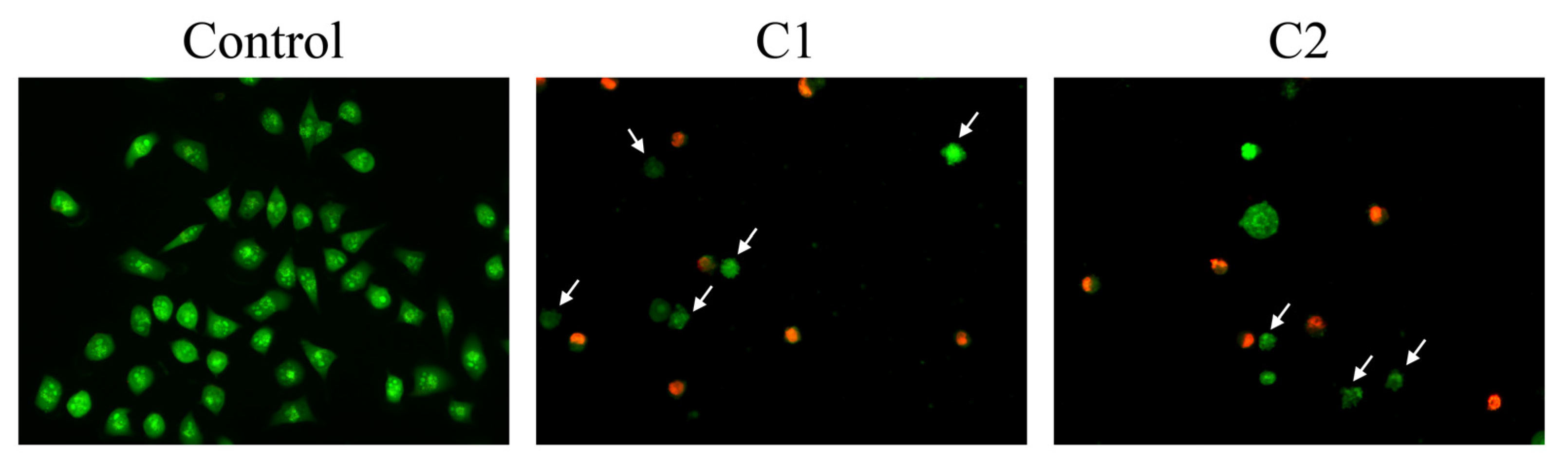 Pharmaceuticals 16 00049 g006 Pharmaceuticals 16 00049 g006
