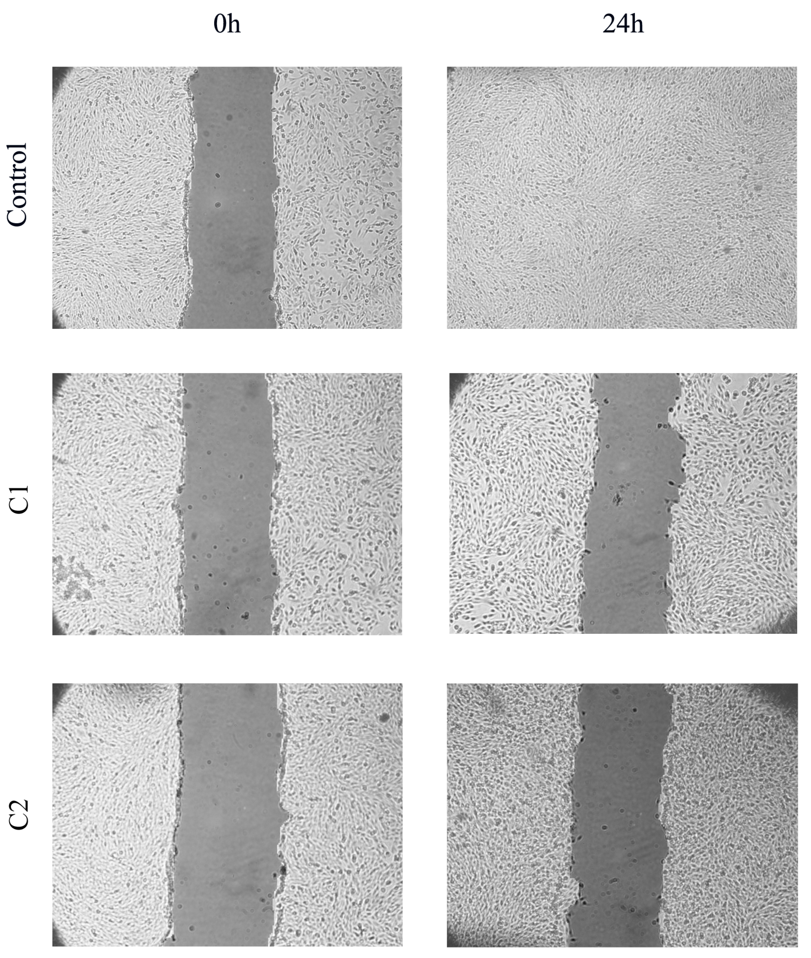 Pharmaceuticals 16 00049 g008 Pharmaceuticals 16 00049 g008