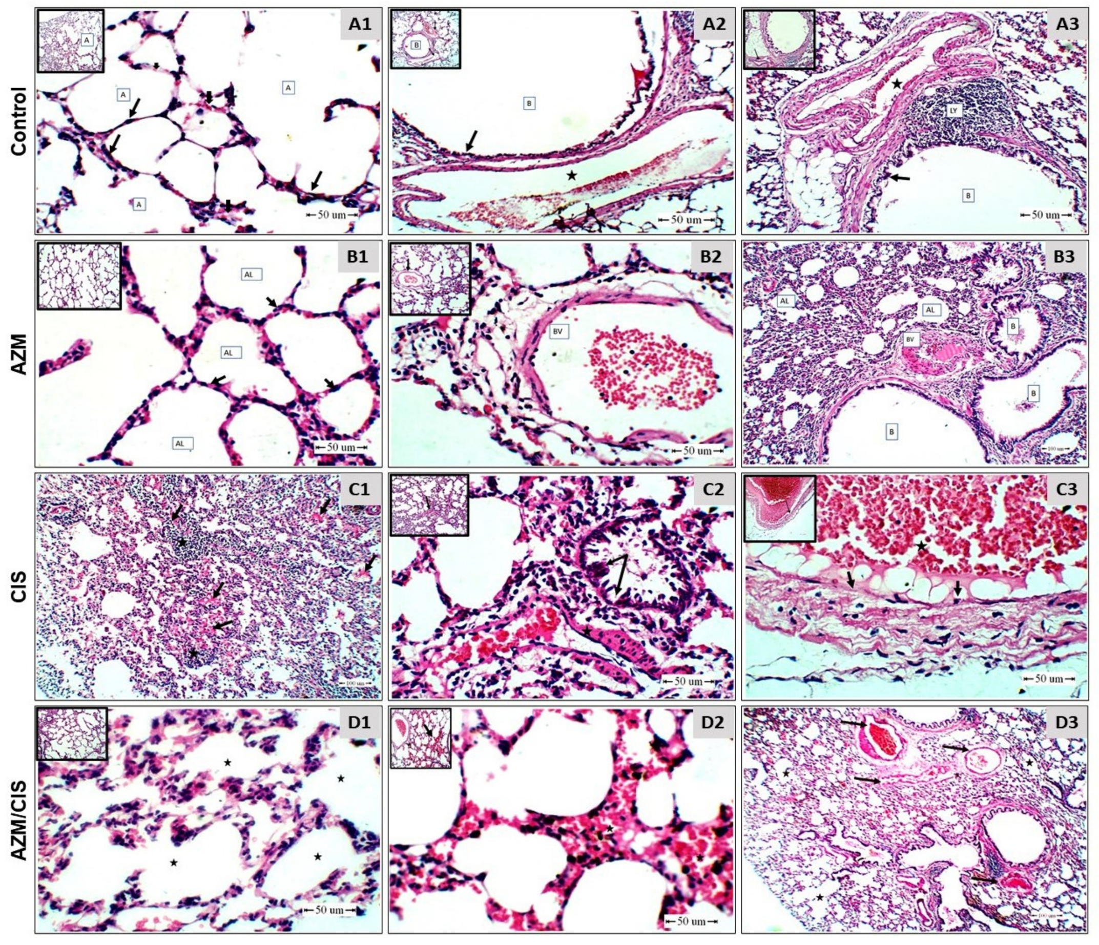 Pharmaceuticals 16 00052 g002 Pharmaceuticals 16 00052 g002