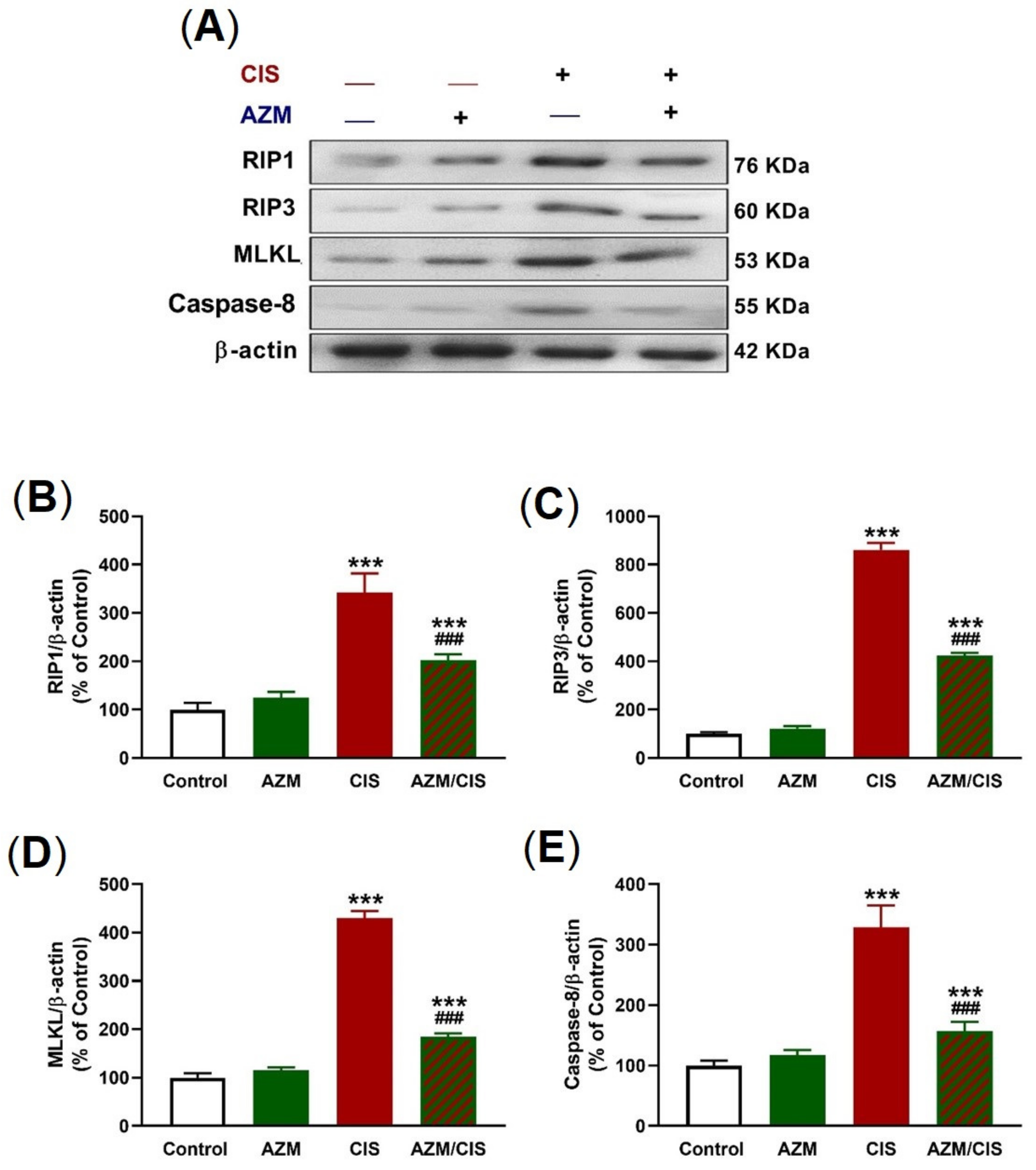 Pharmaceuticals 16 00052 g006 Pharmaceuticals 16 00052 g006