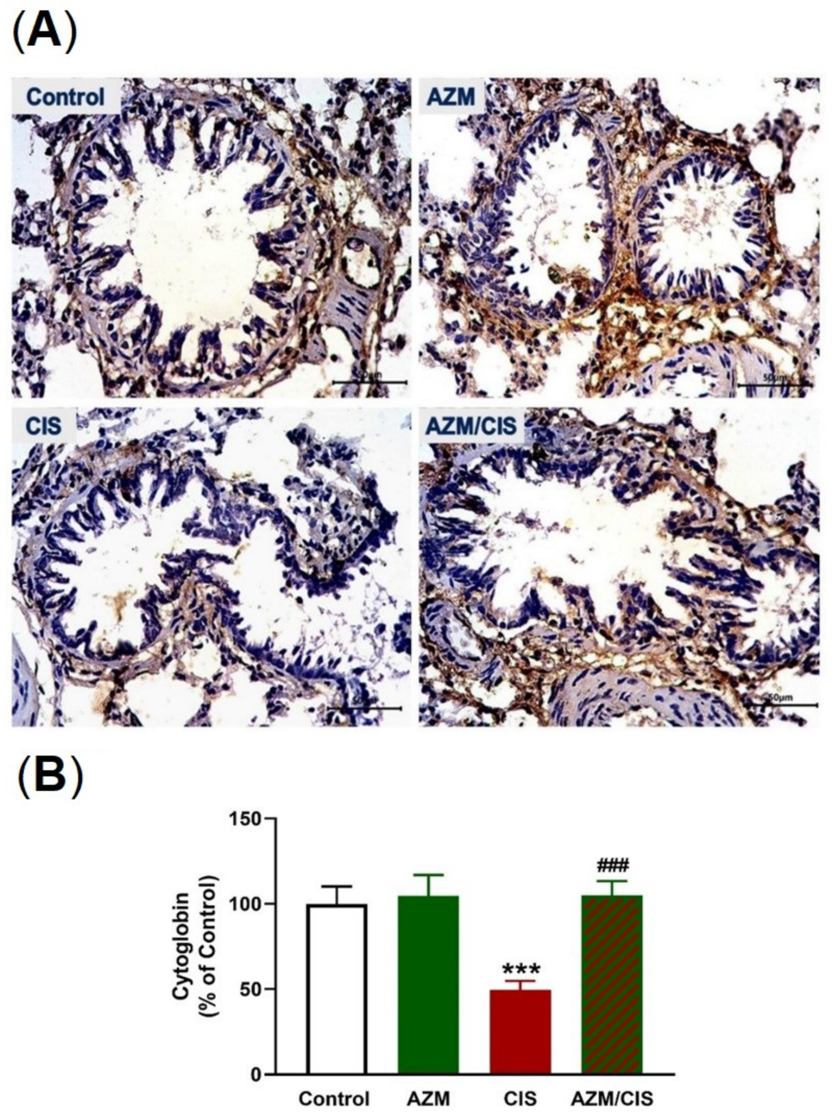 Pharmaceuticals 16 00052 g009 Pharmaceuticals 16 00052 g009