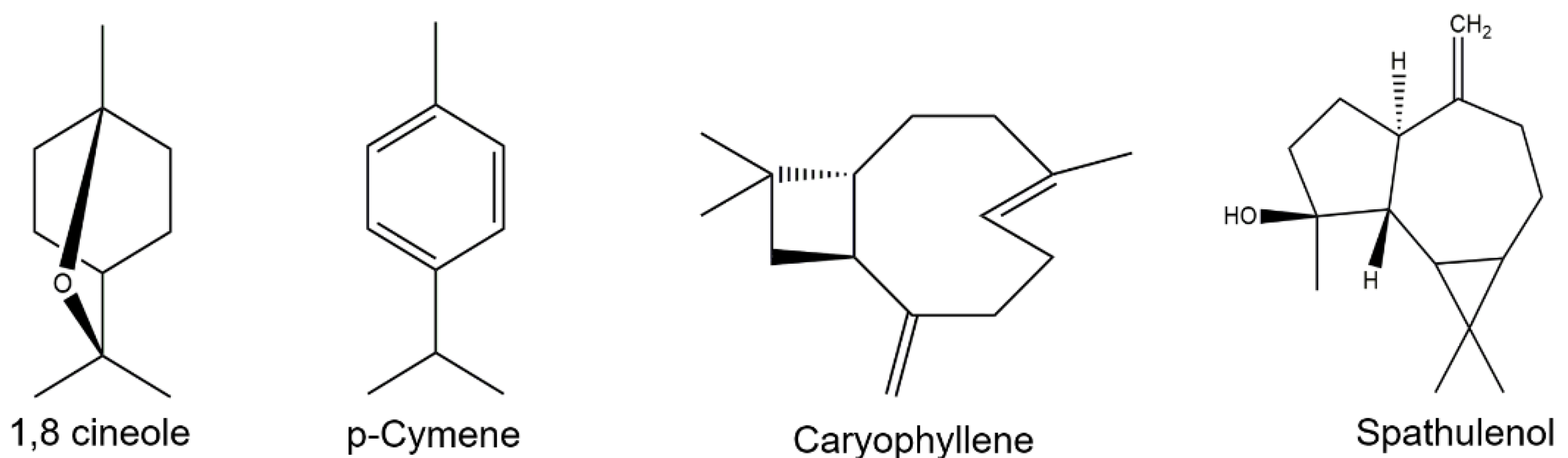 Pharmaceuticals 16 00055 g002