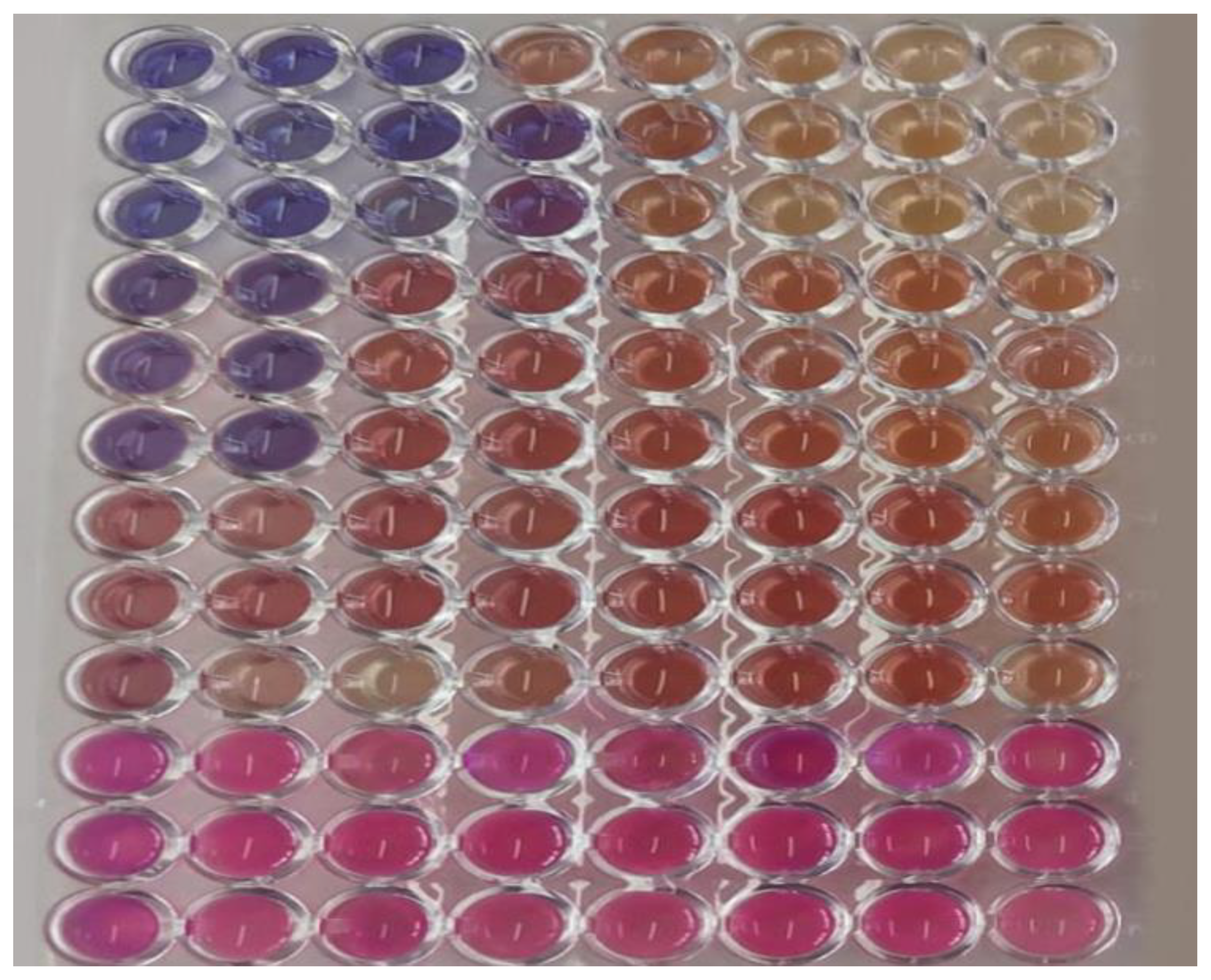 Pharmaceuticals 16 00055 g003