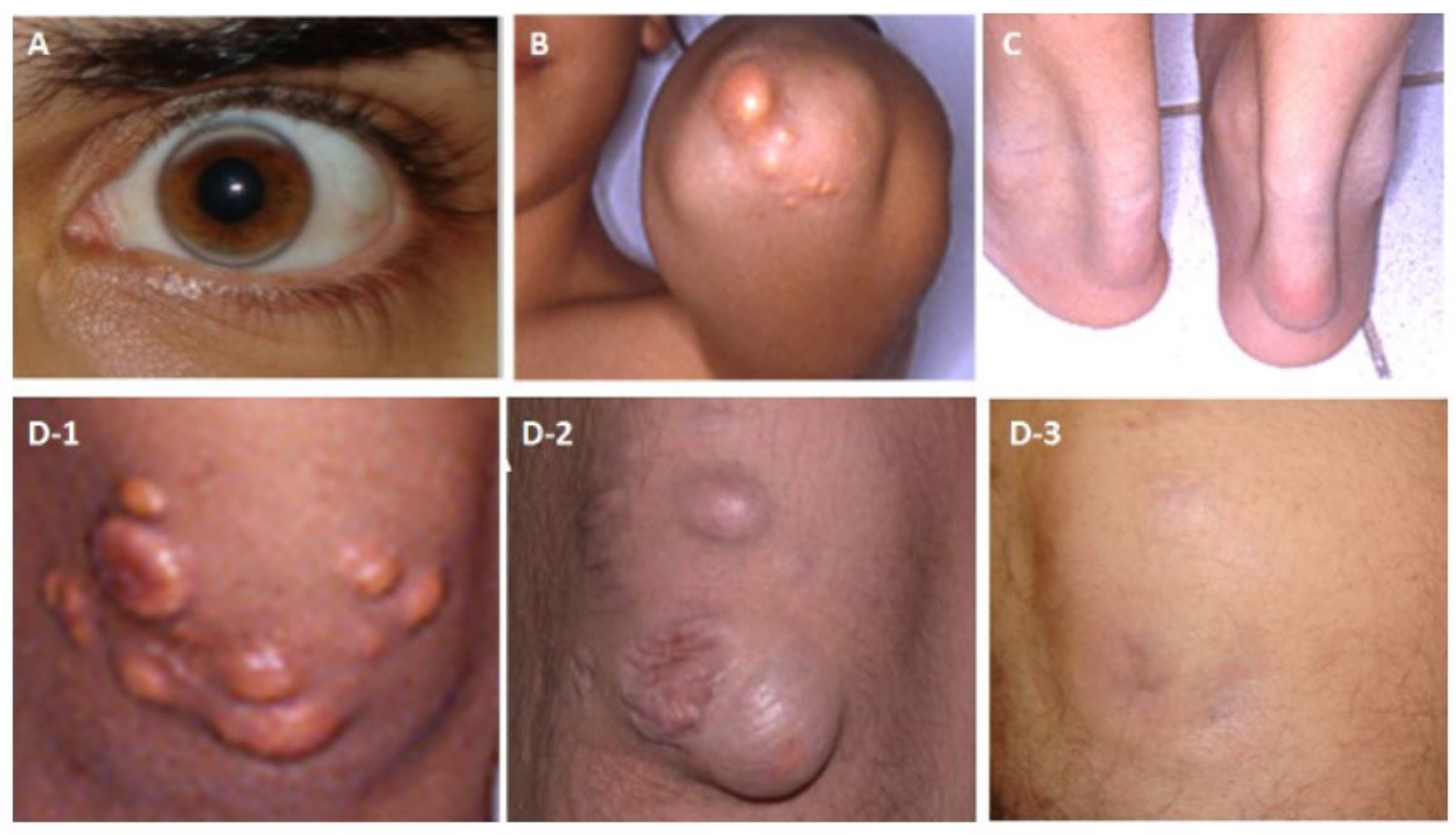 Pharmaceuticals 16 00064 g002