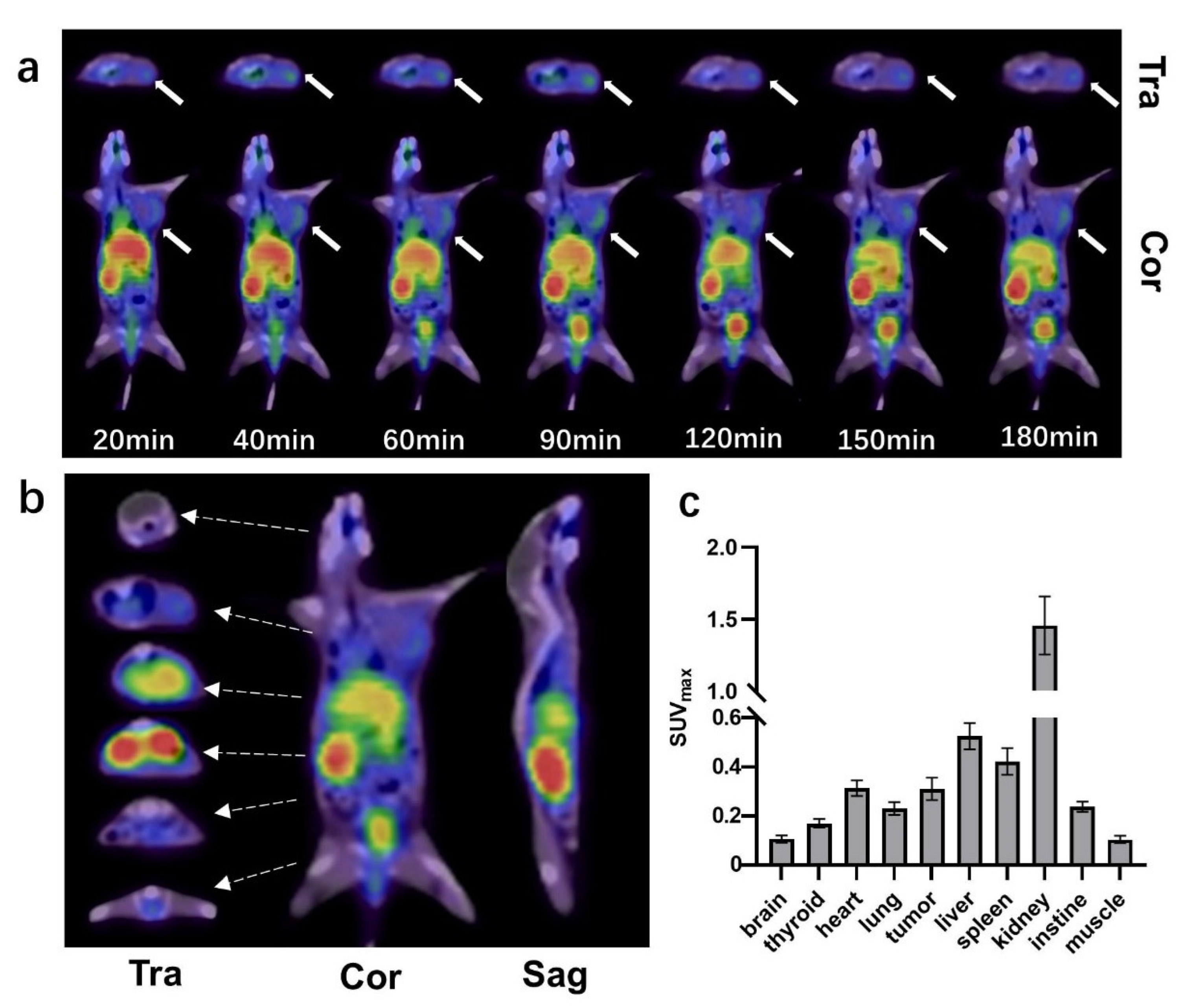Pharmaceuticals 16 00080 g003