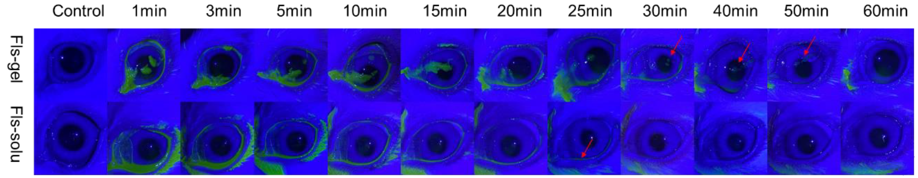 Pharmaceuticals 16 00090 g006 Pharmaceuticals 16 00090 g006