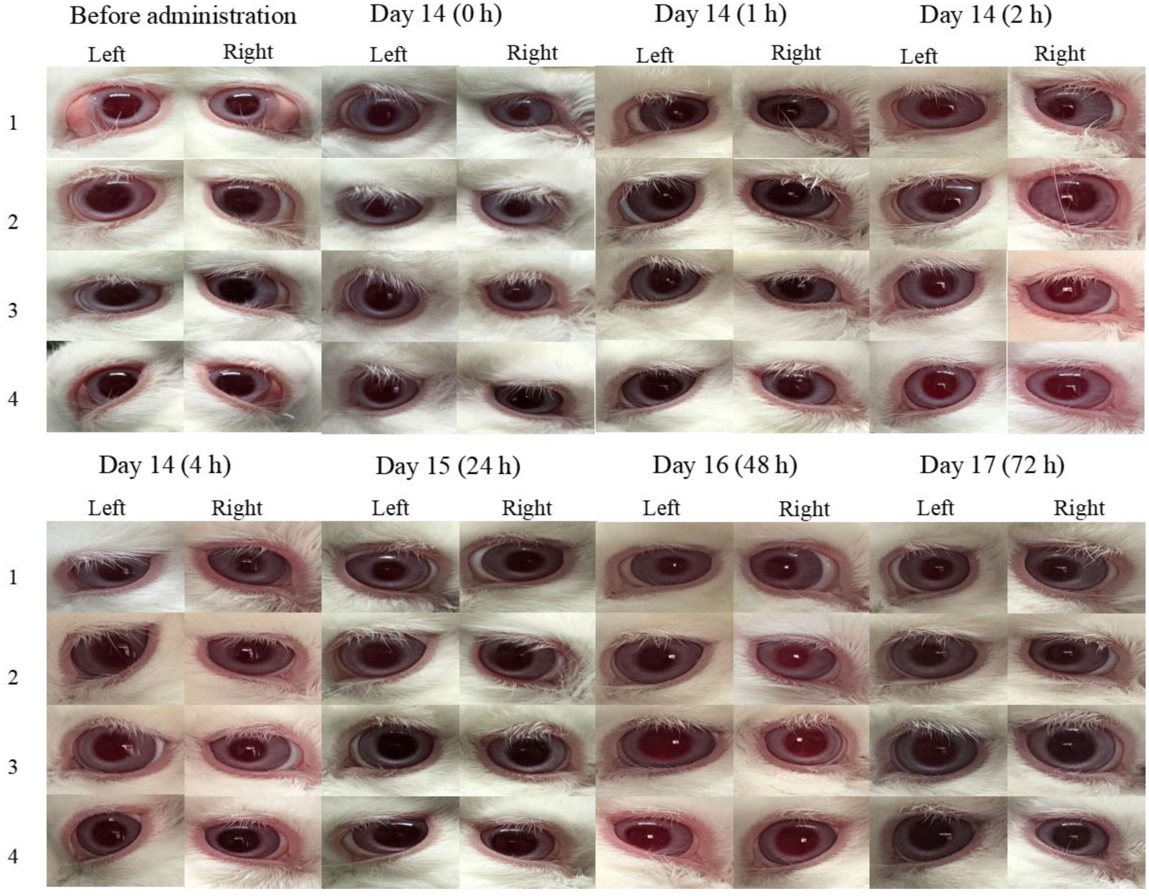 Pharmaceuticals 16 00090 g007 Pharmaceuticals 16 00090 g007