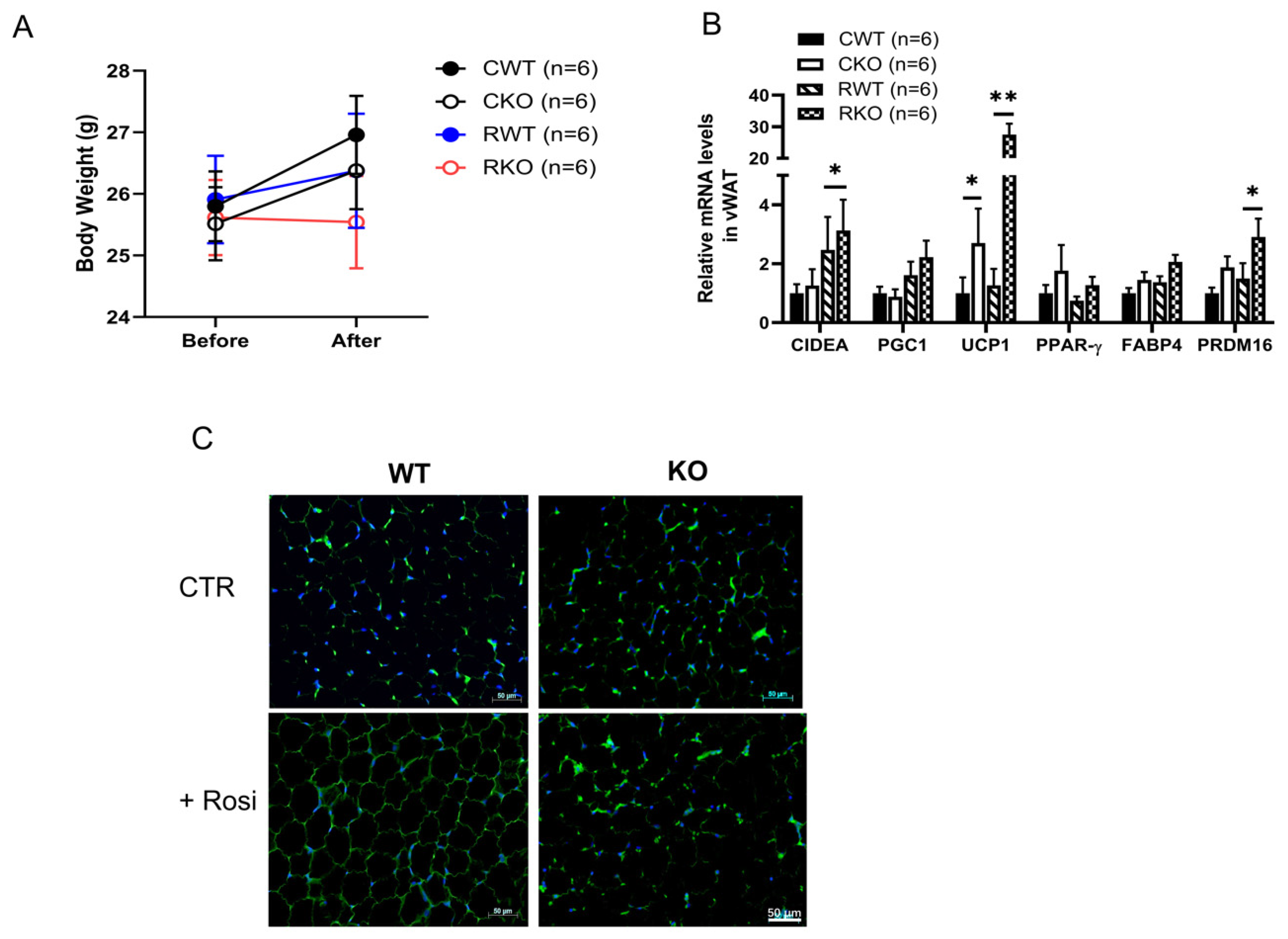 Pharmaceuticals 16 00091 g006 Pharmaceuticals 16 00091 g006