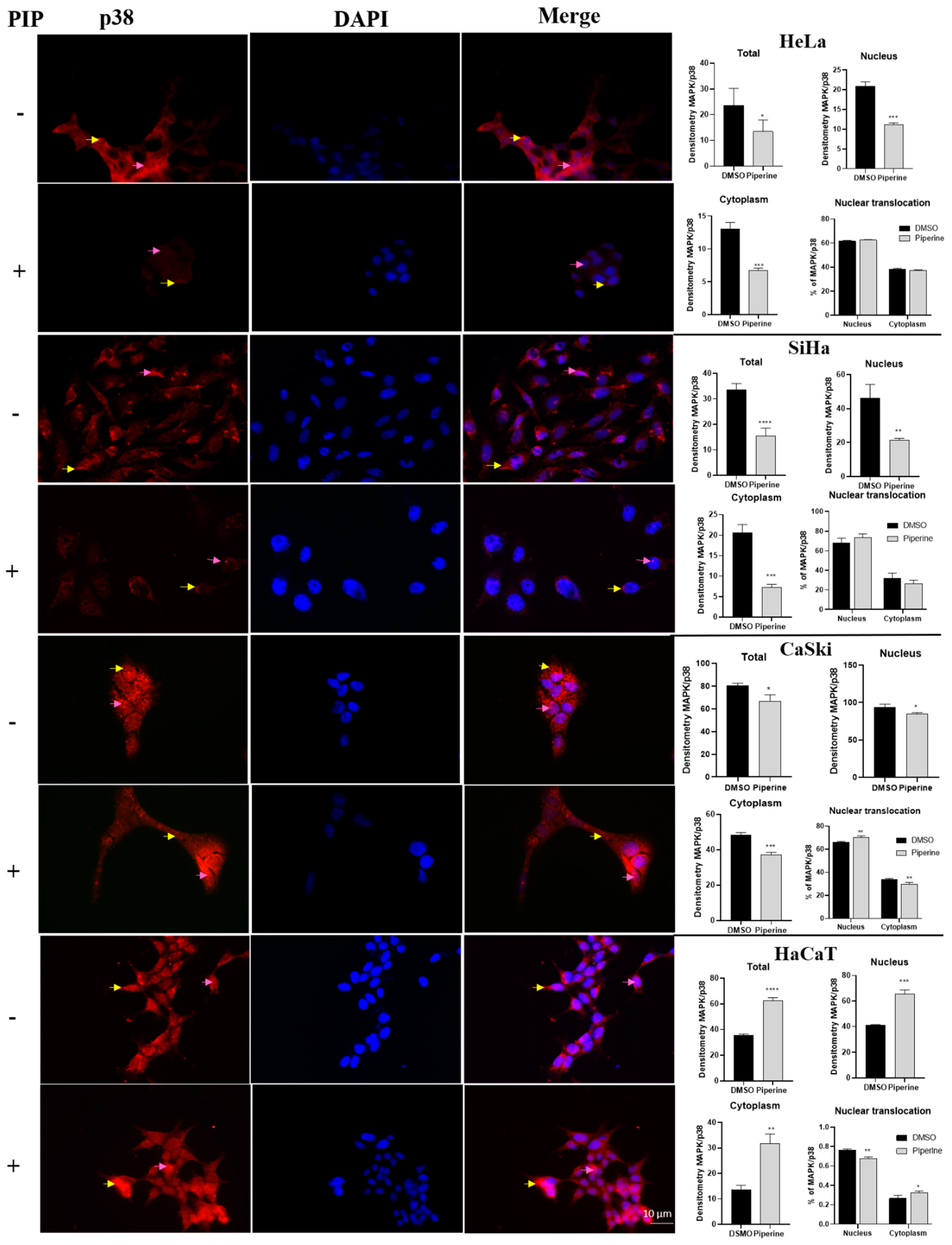 Pharmaceuticals 16 00103 g006
