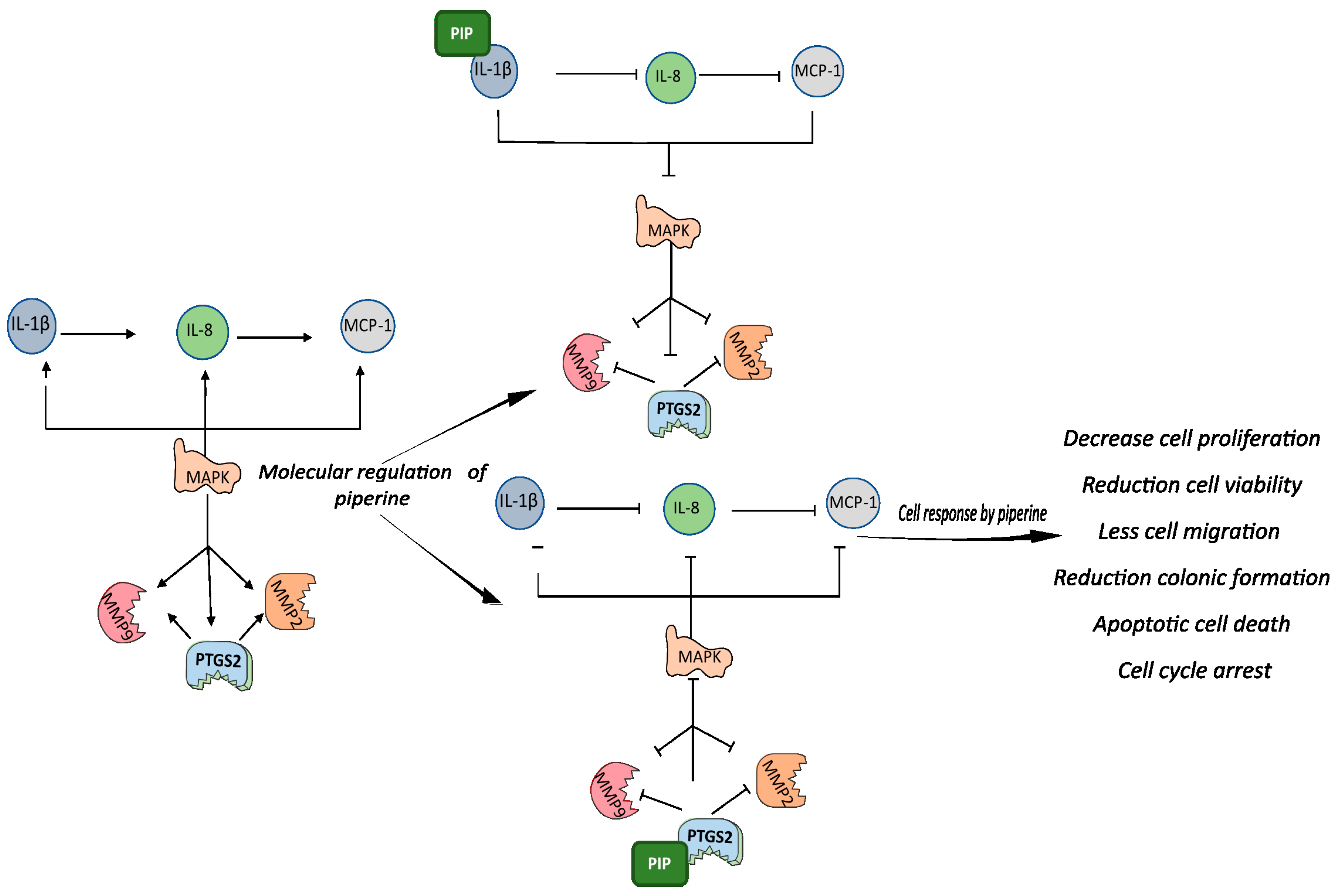 Pharmaceuticals 16 00103 g008