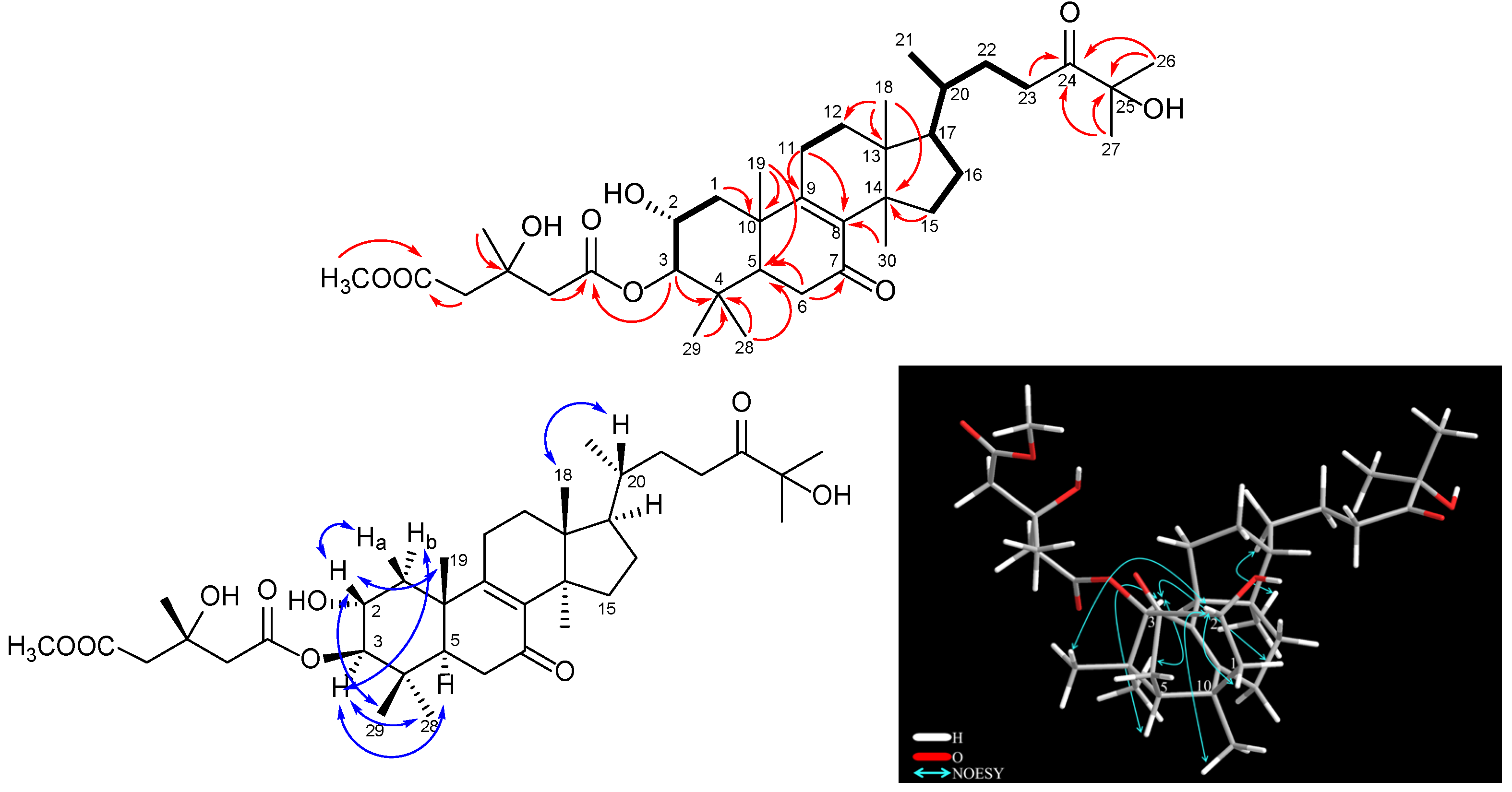 Pharmaceuticals 16 00104 g002 Pharmaceuticals 16 00104 g002