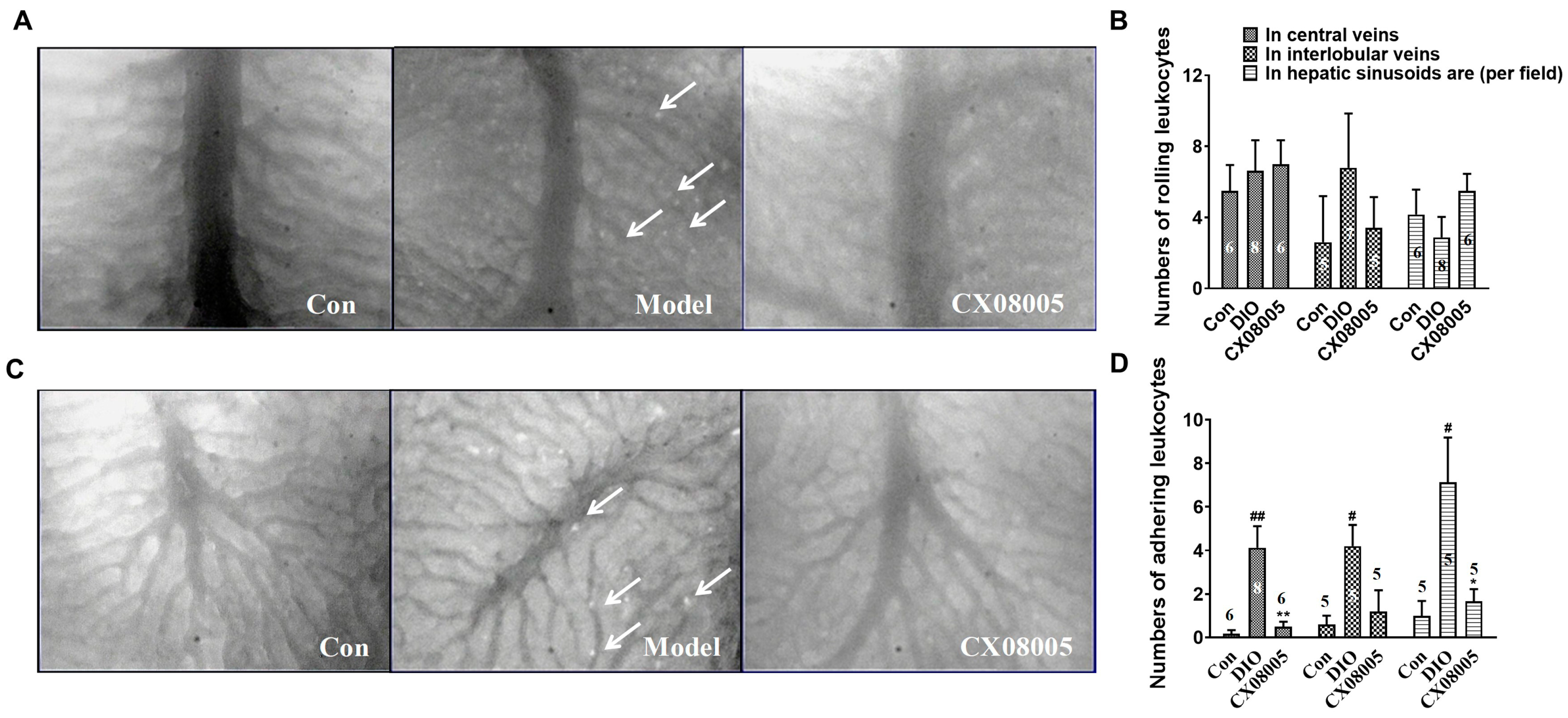 Pharmaceuticals 16 00106 g006