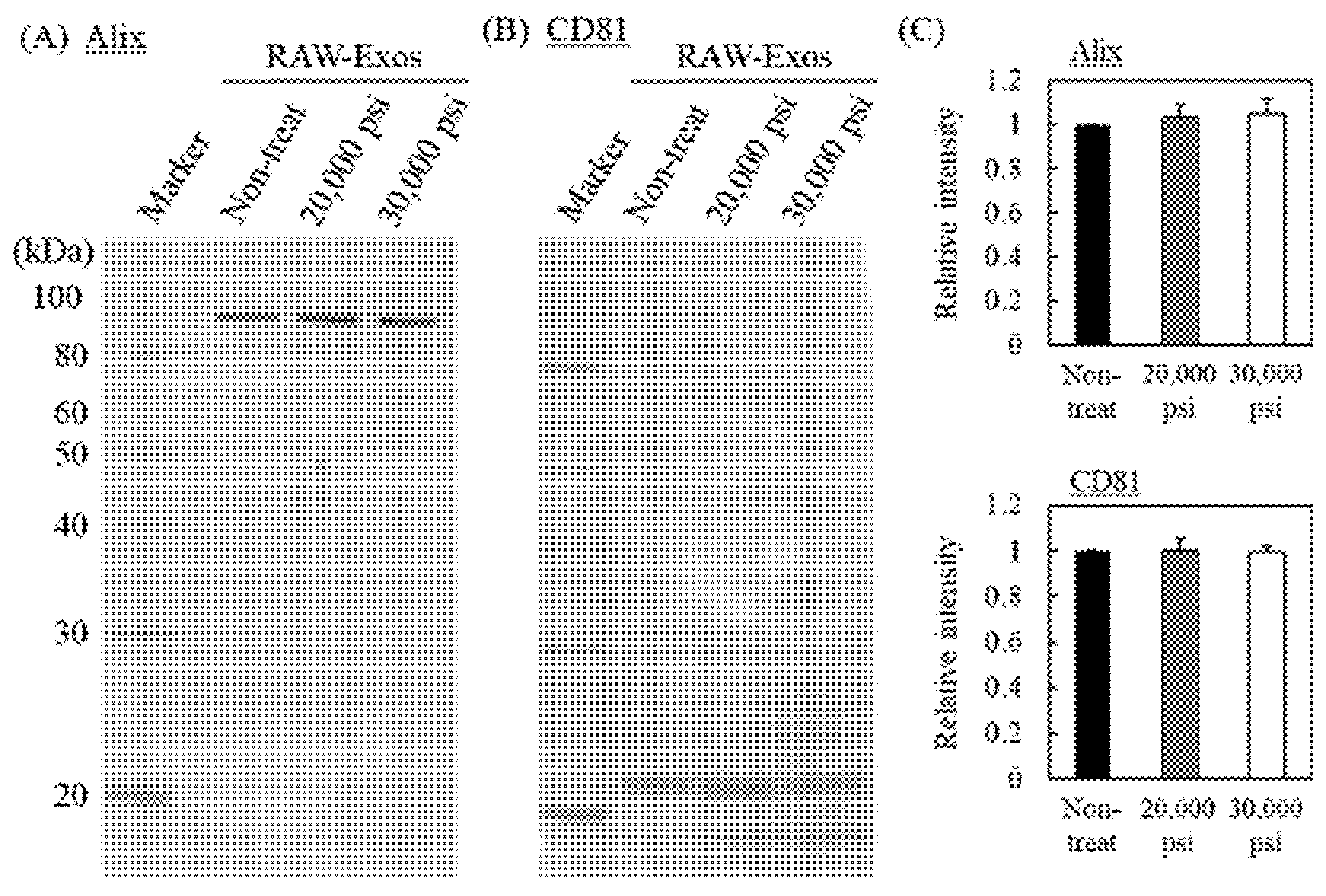 Pharmaceuticals 16 00108 g002