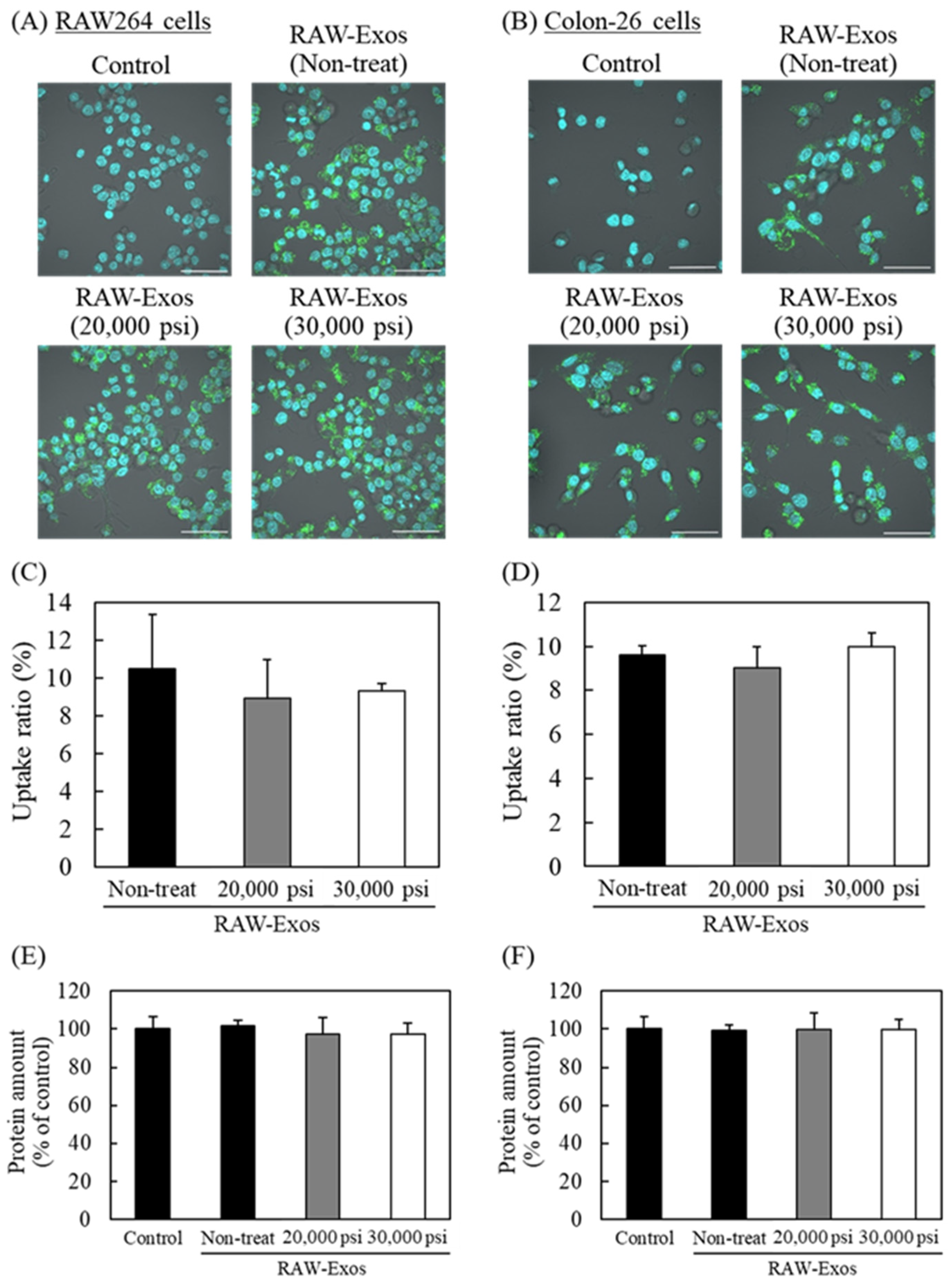 Pharmaceuticals 16 00108 g003