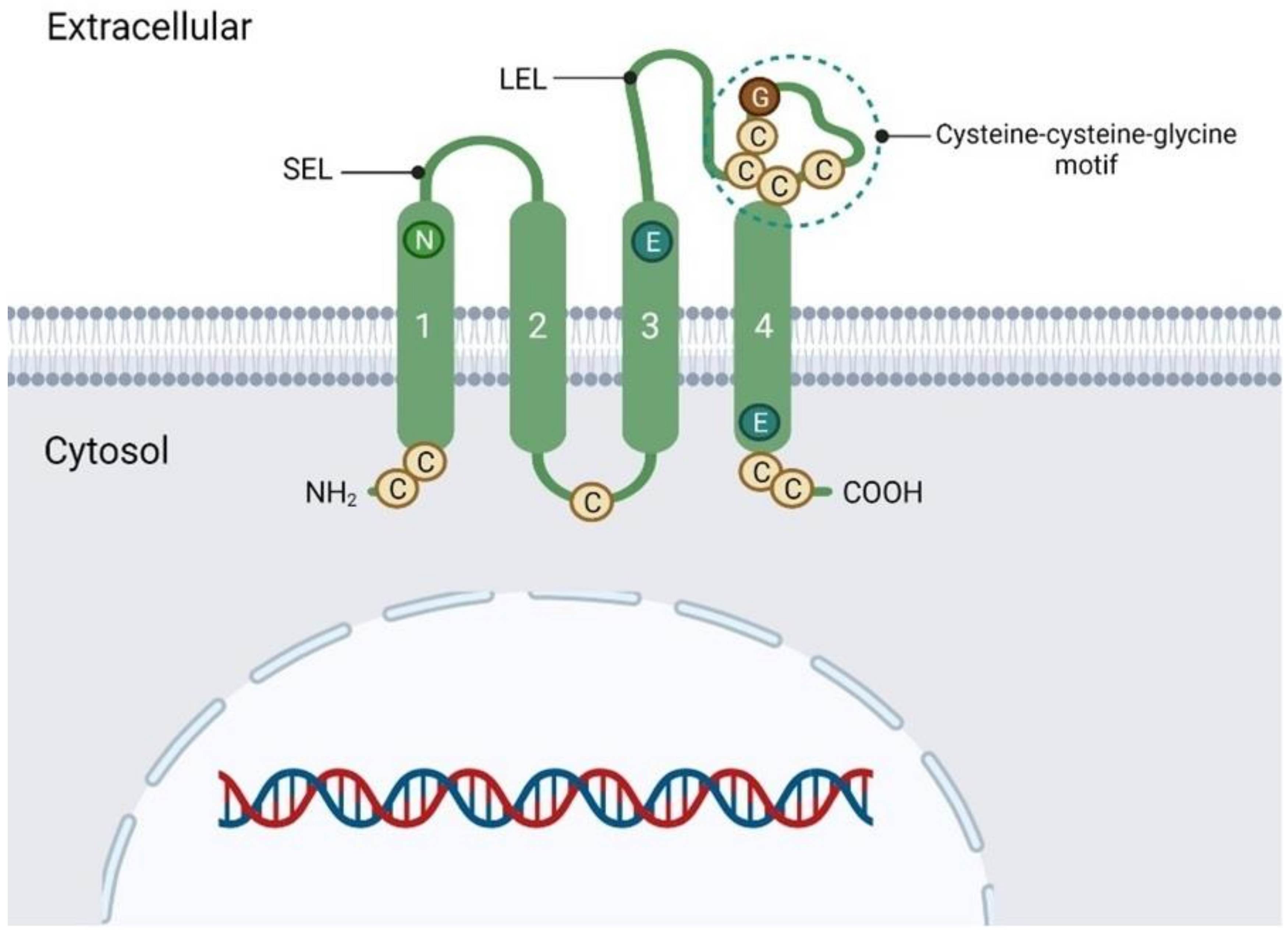 Pharmaceuticals 16 00110 g001