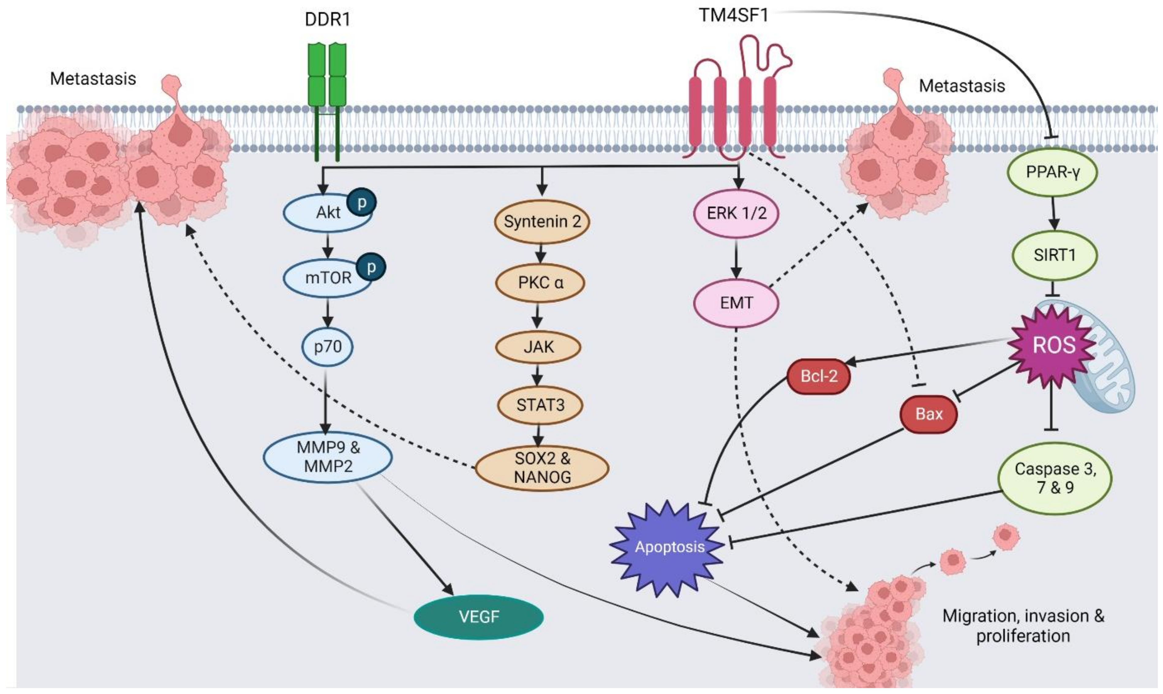 Pharmaceuticals 16 00110 g002