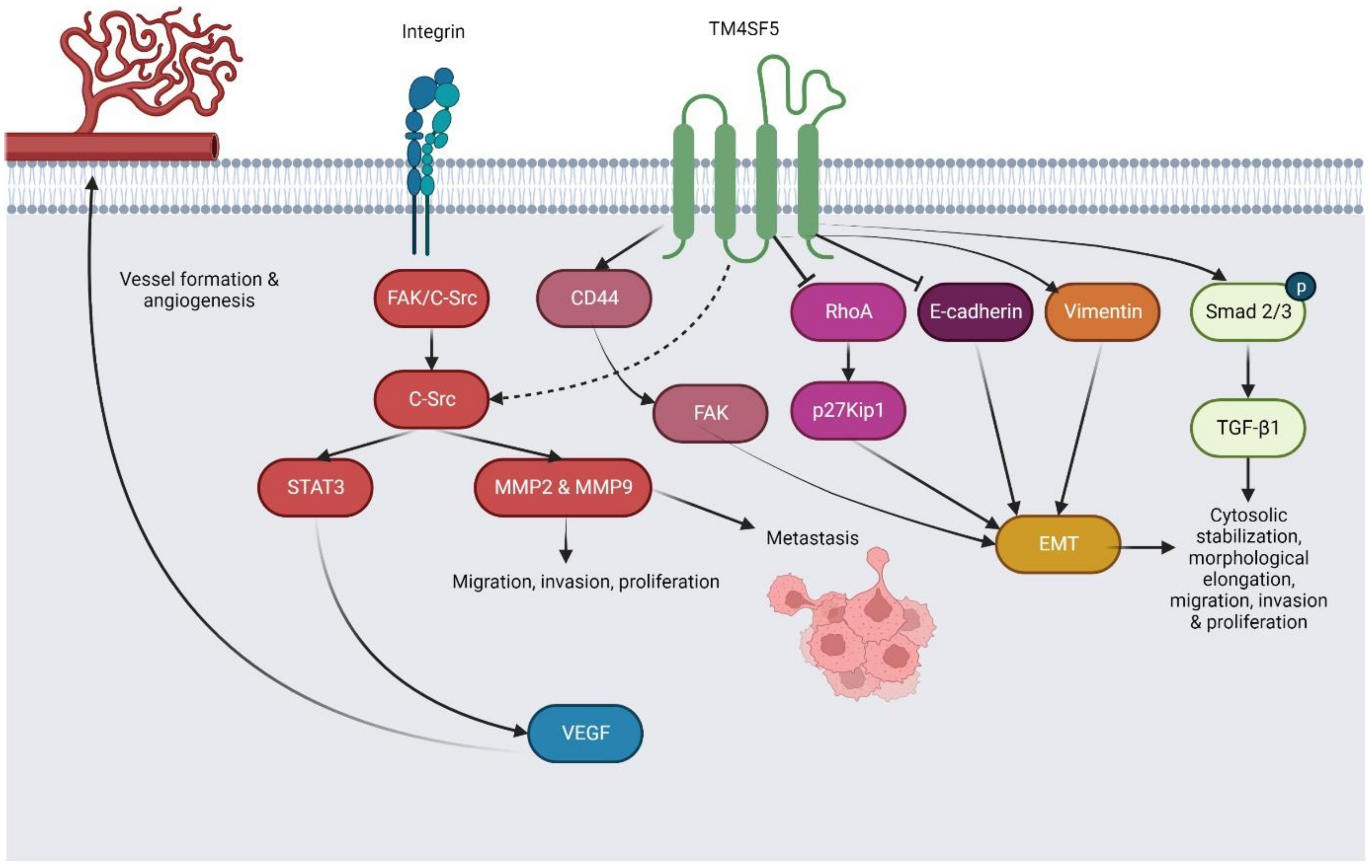 Pharmaceuticals 16 00110 g004