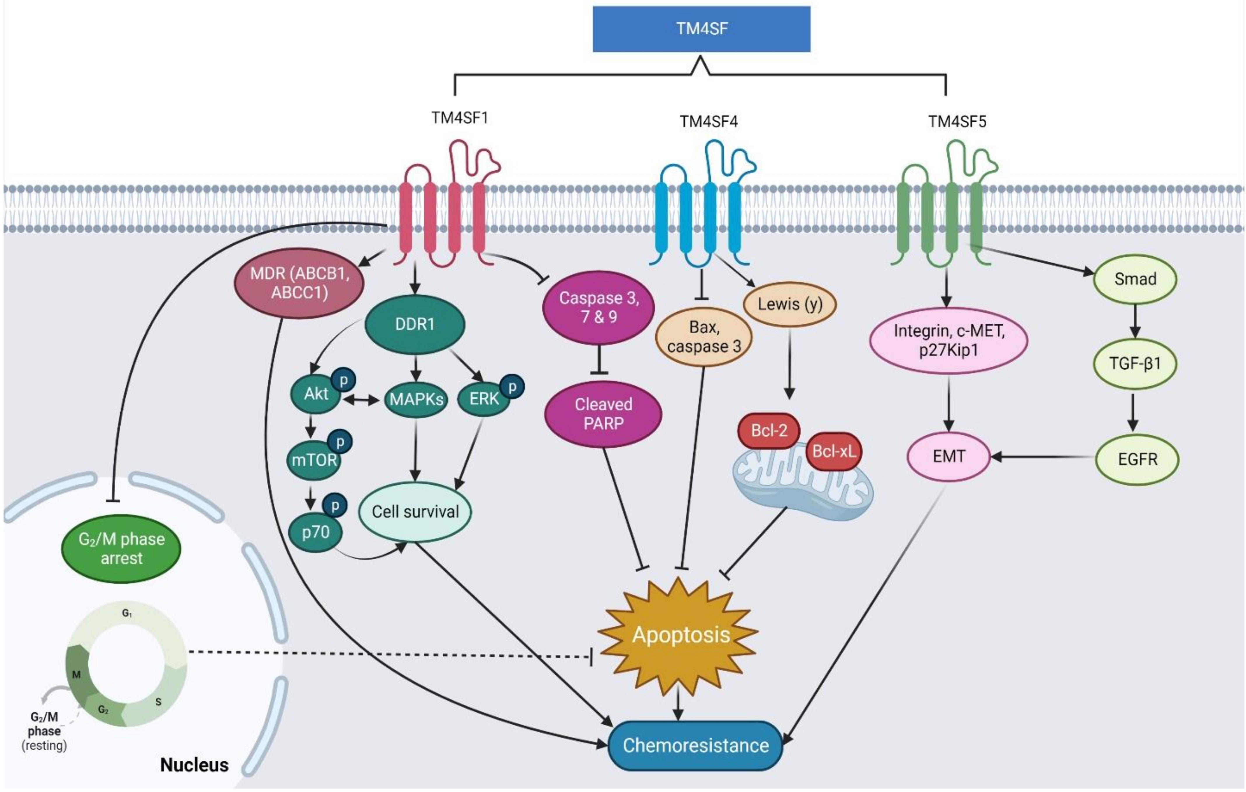 Pharmaceuticals 16 00110 g005