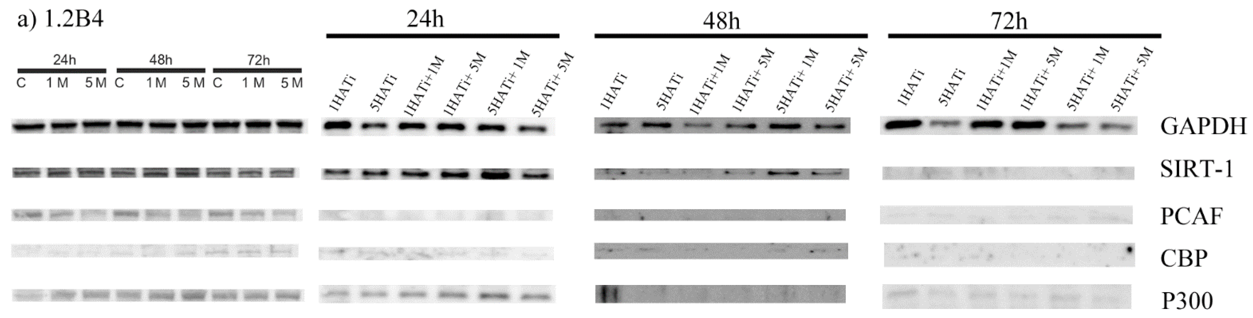 Pharmaceuticals 16 00115 g005a Pharmaceuticals 16 00115 g005a