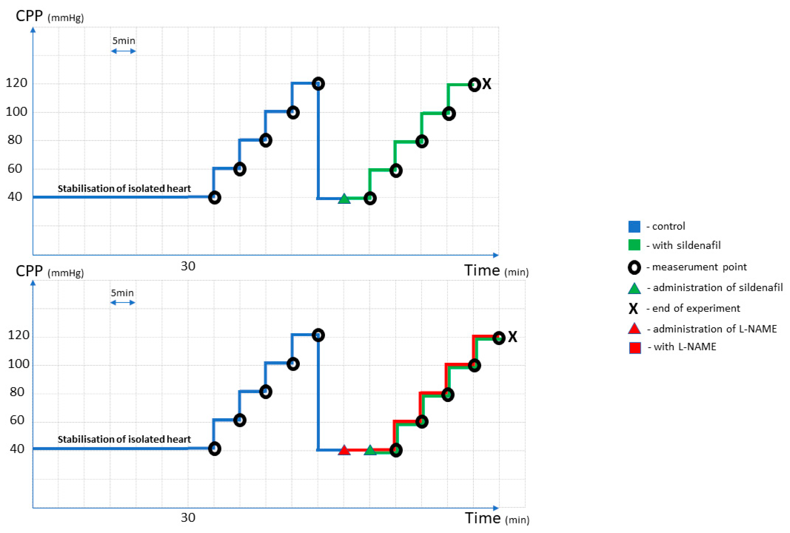 Pharmaceuticals 16 00118 g007