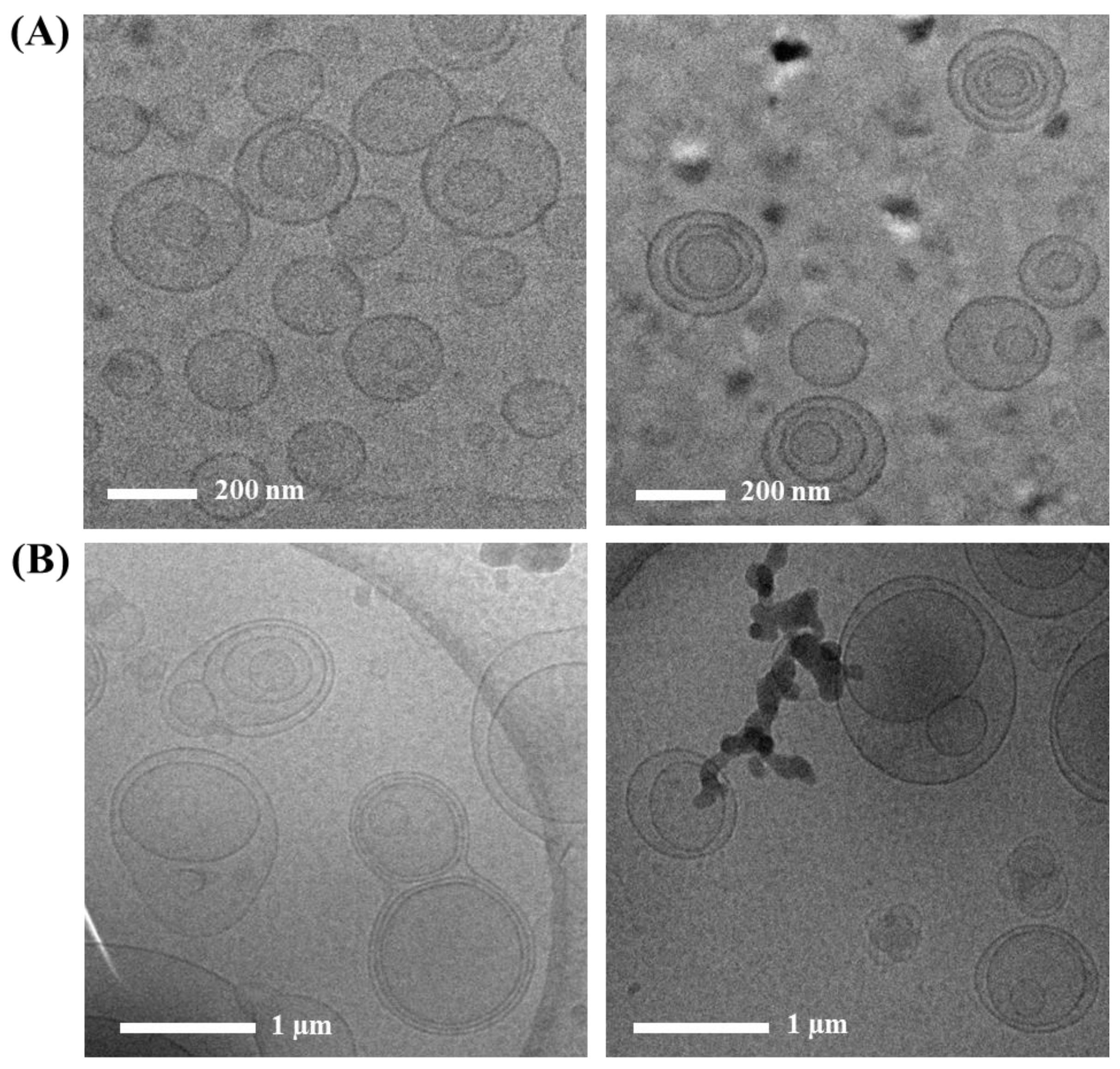 Pharmaceuticals 16 00121 g004